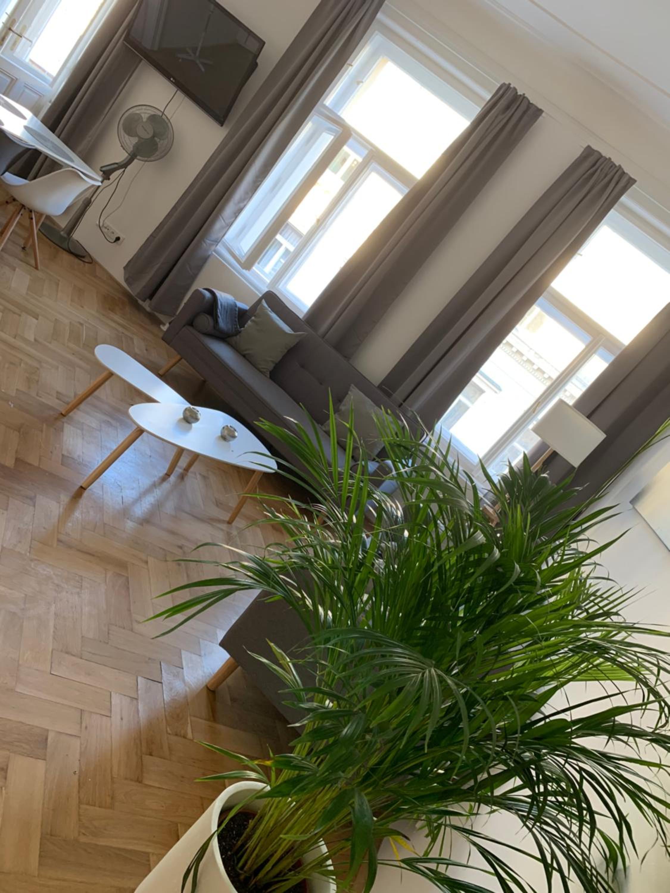 VIP city CENTER apartment Prague