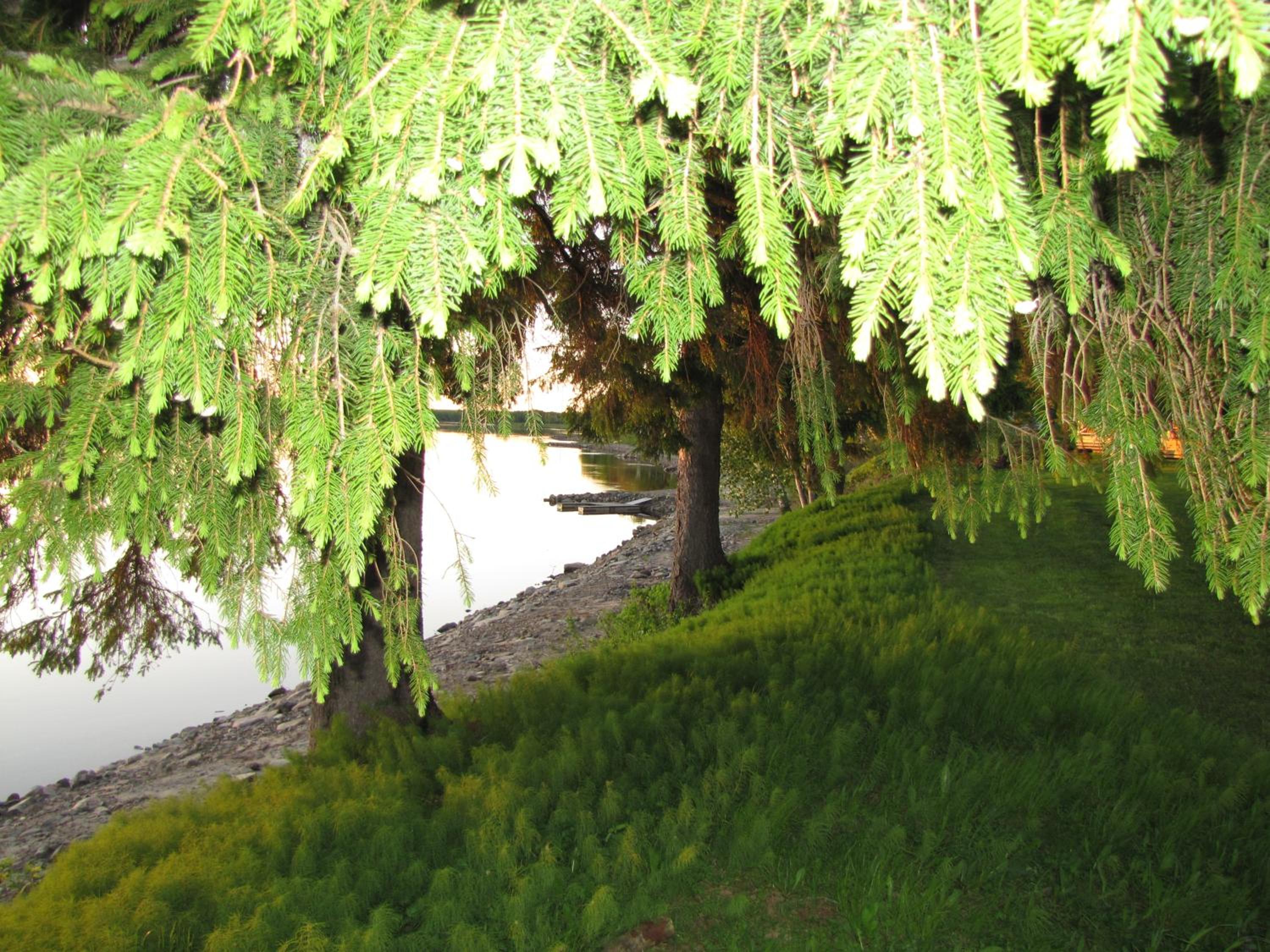 Photo 43