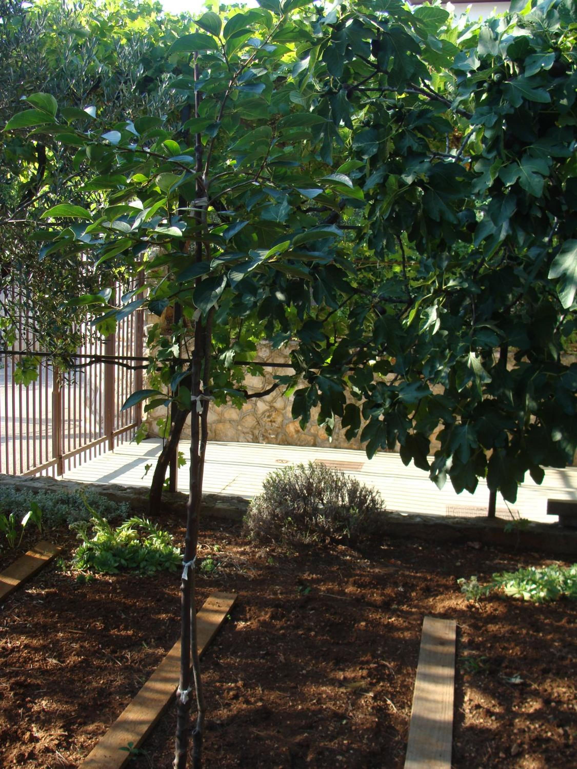 Apartmani Svetina view 5