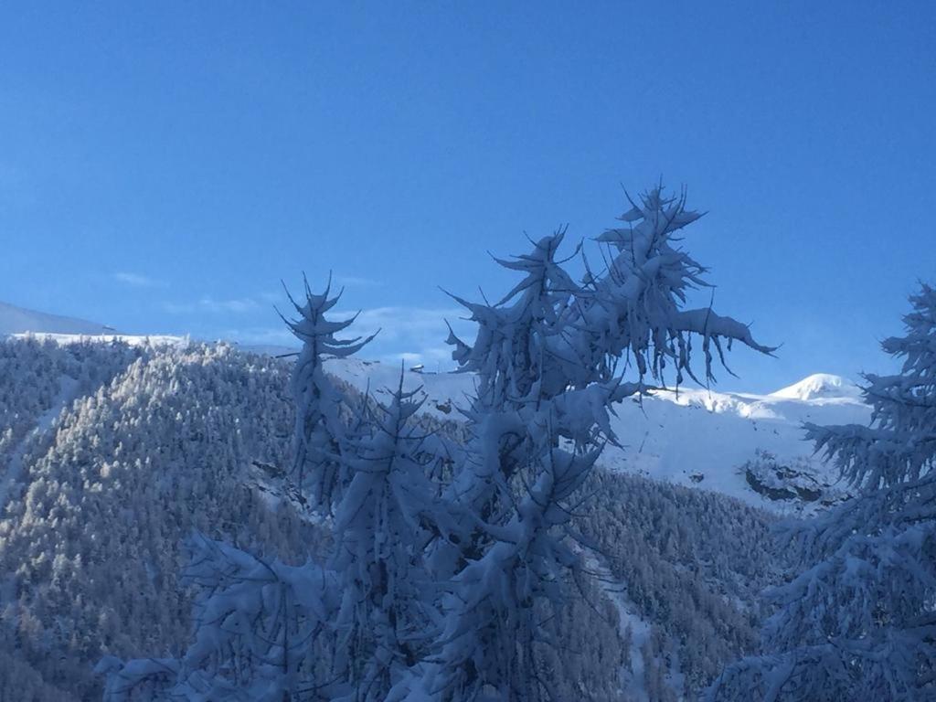 Chalet Memory view 2
