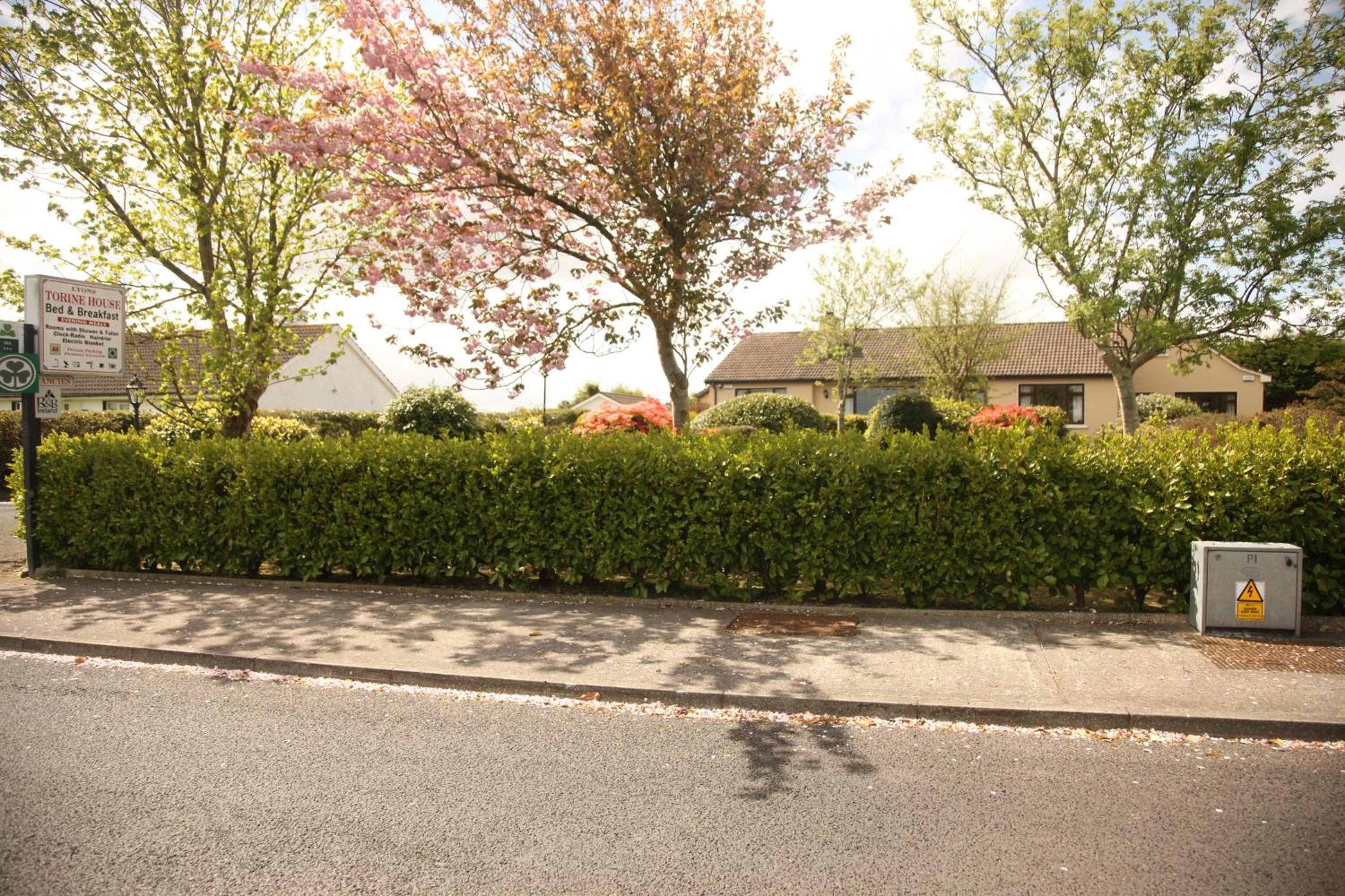 Torine House BB - Property Image 34