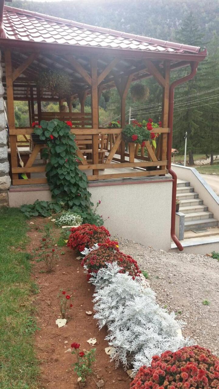 Photo 19