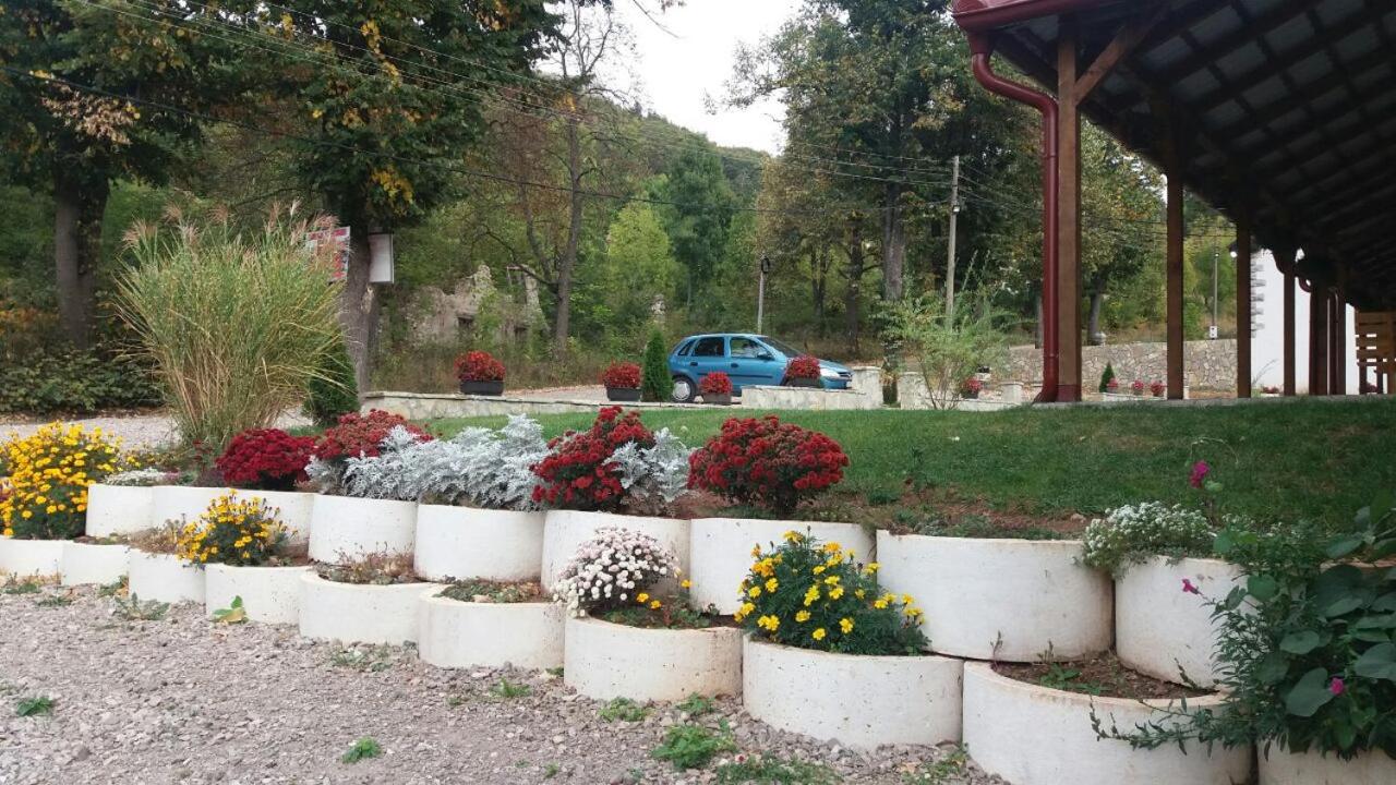 Photo 17