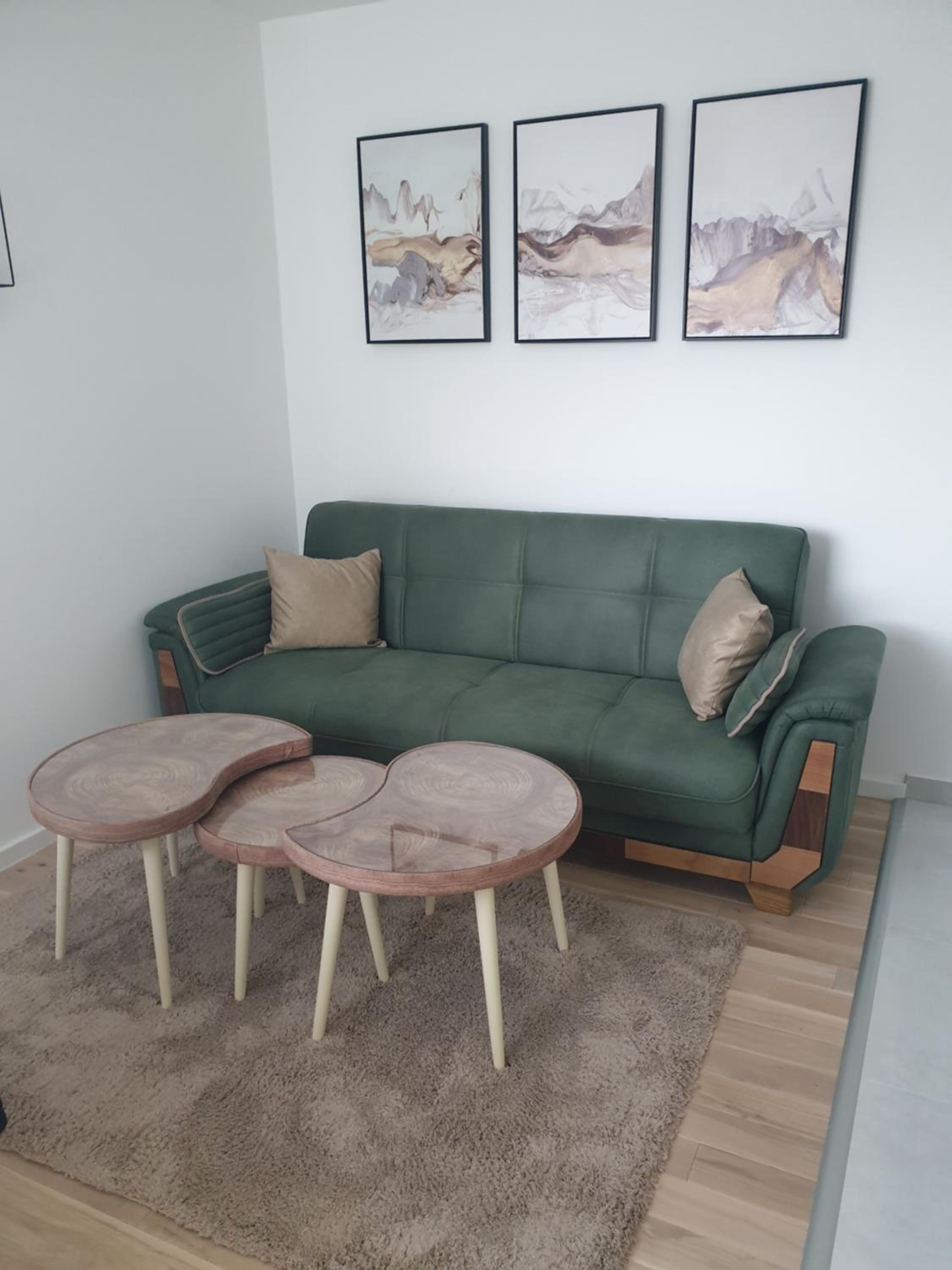 Apartman Viktoria view 4