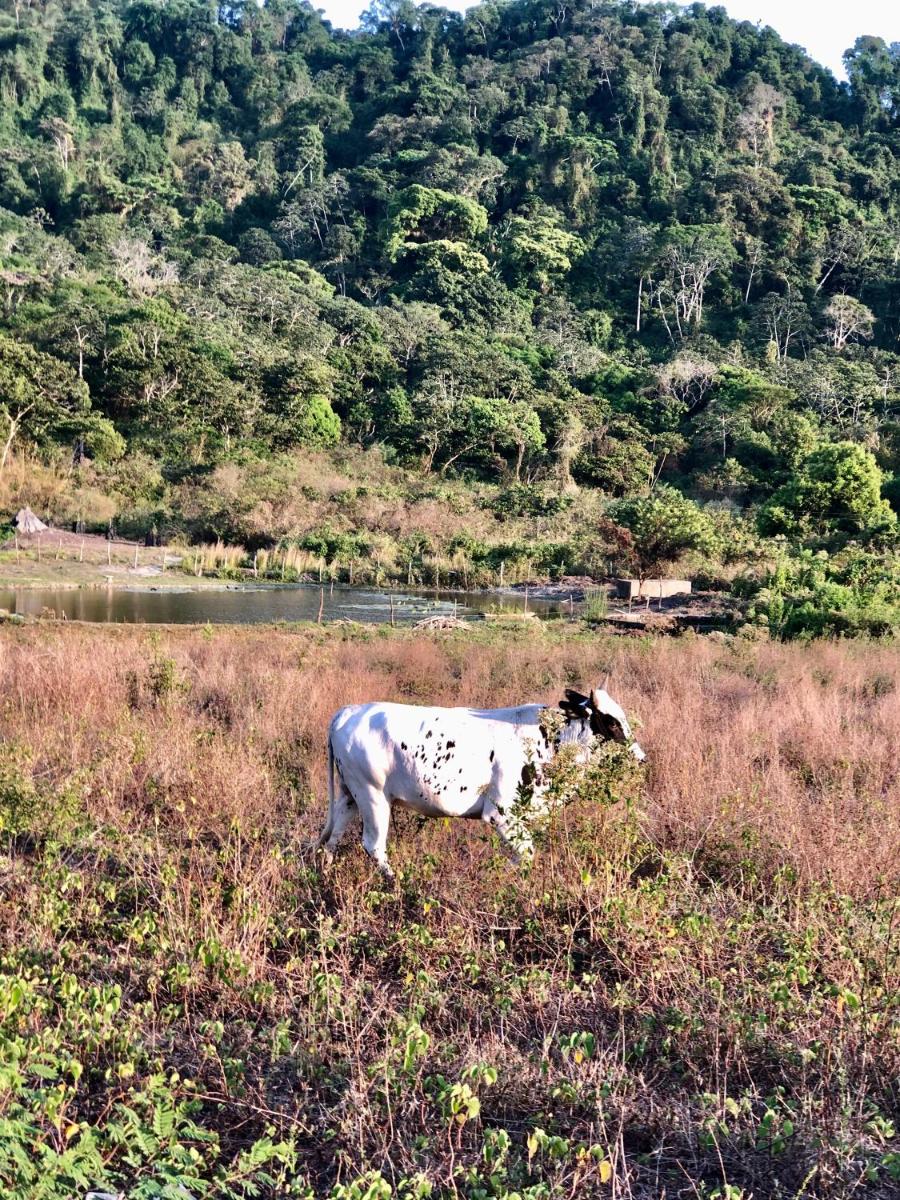 Chalé Bela Vista - Chalés Belo Monte