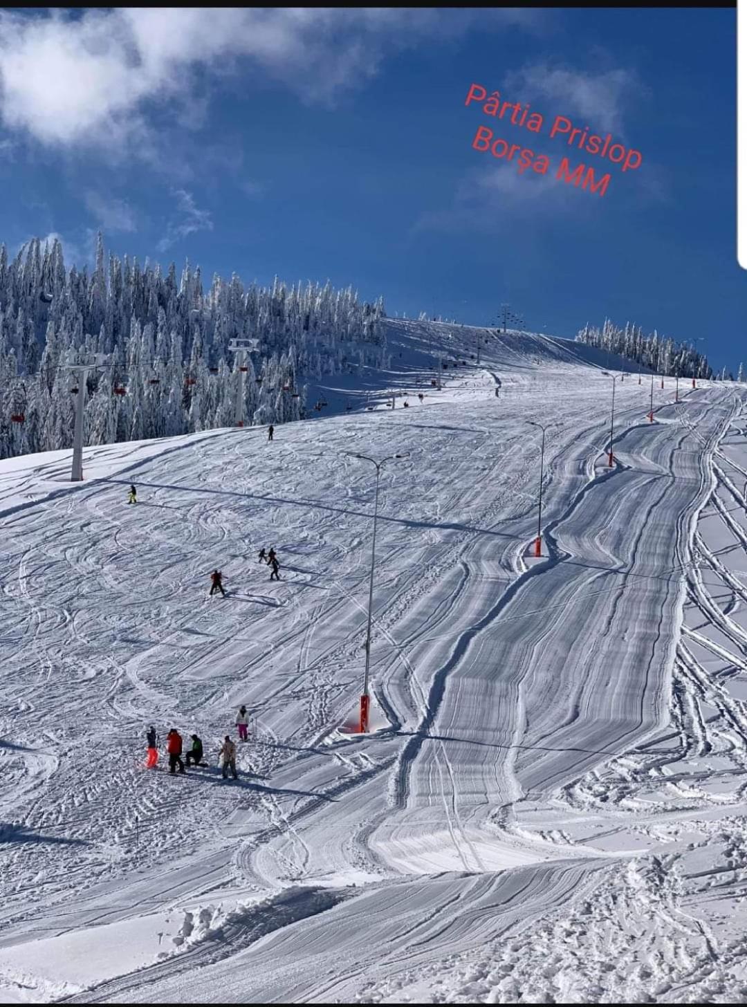 Piatra Soimului