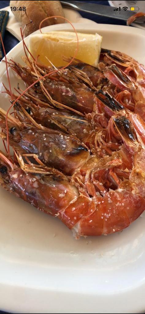 Duquesa Coto Real
