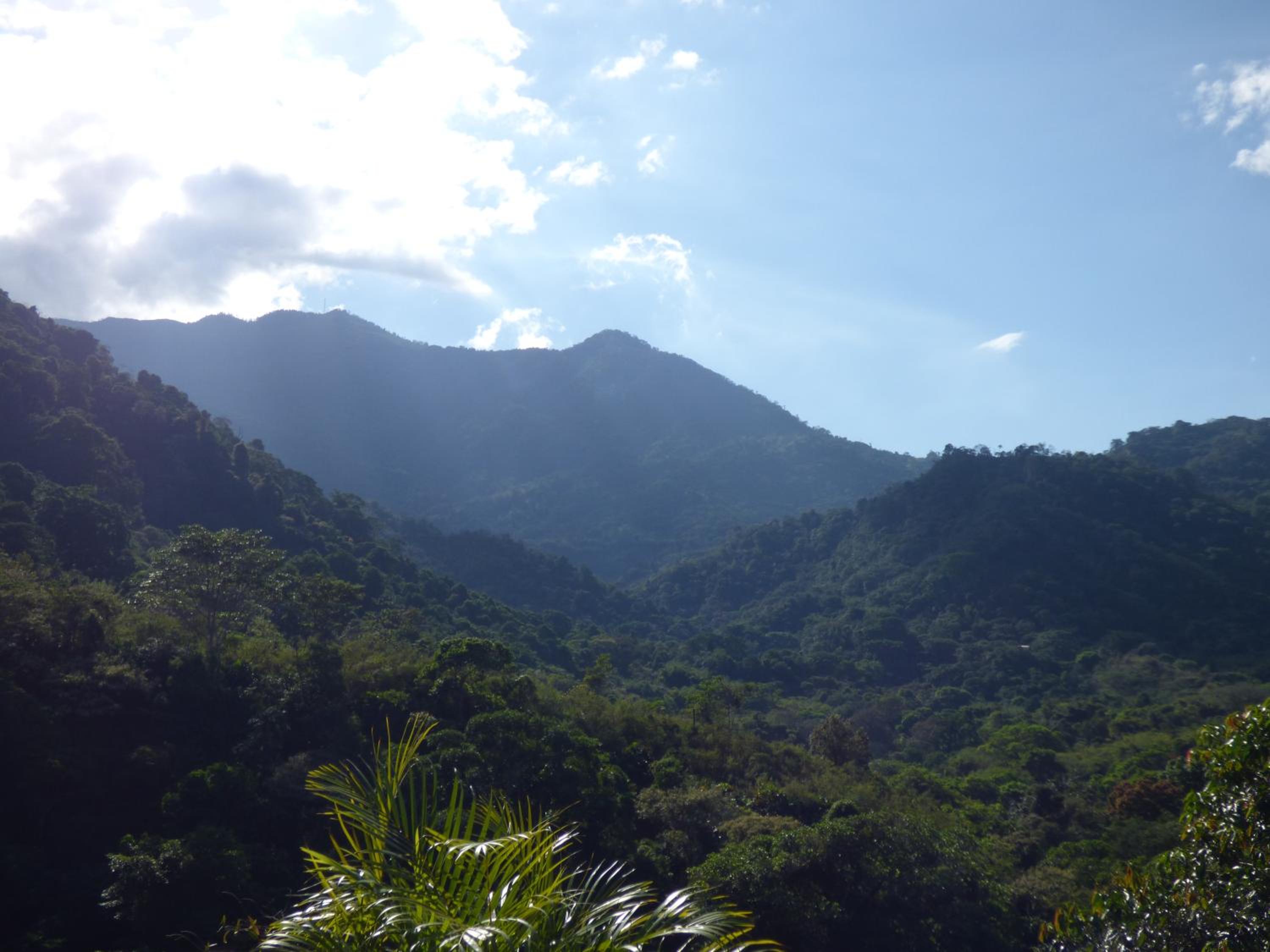 Hostal Alto de la Montaña