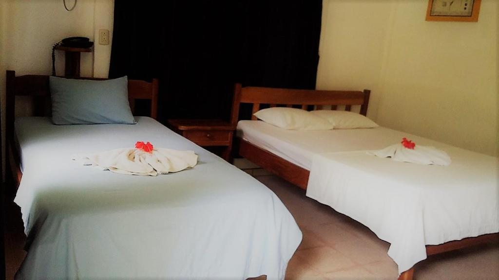 Aunty Arenal Lodge