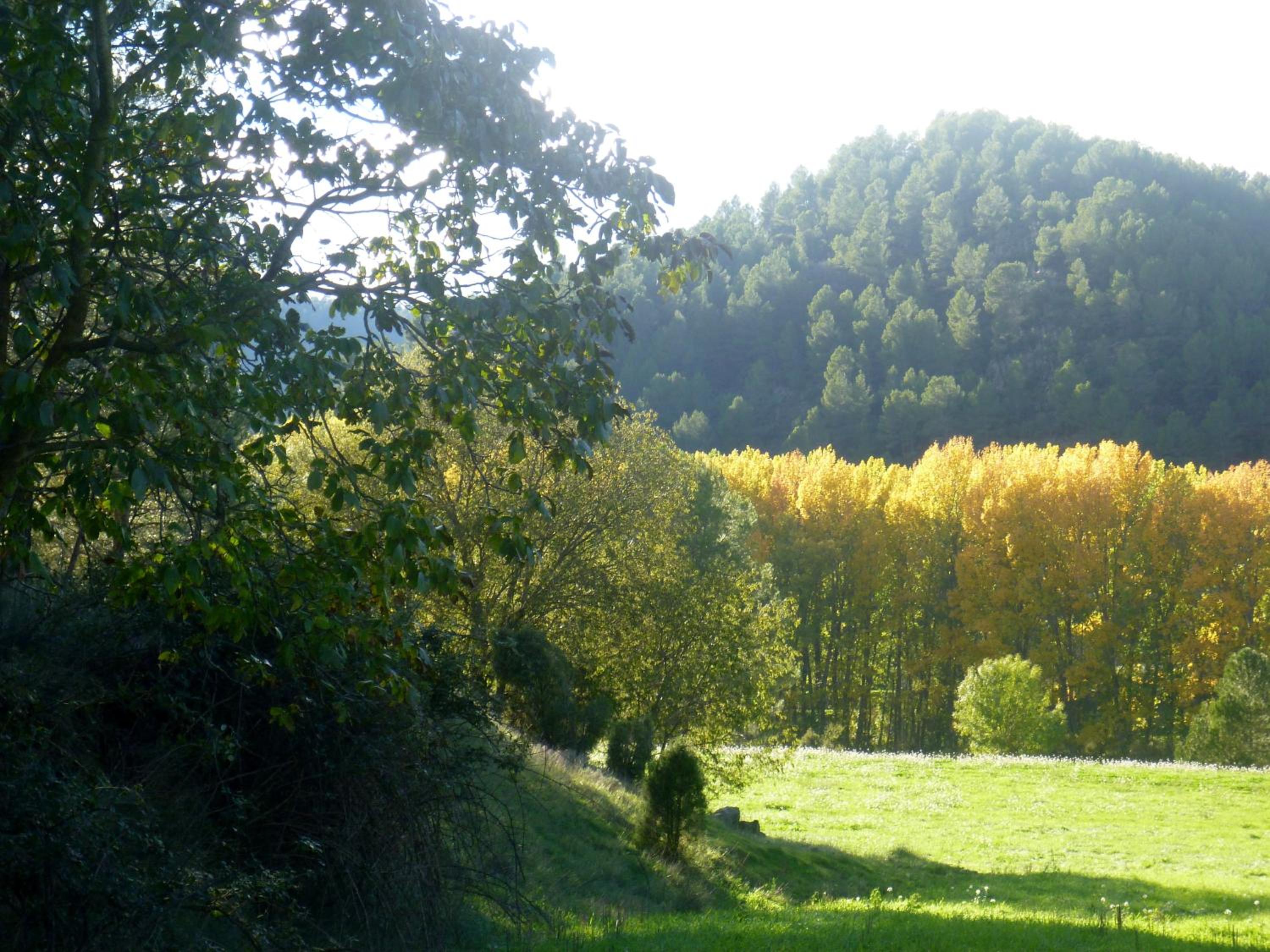 Casa Rural El Gaiter