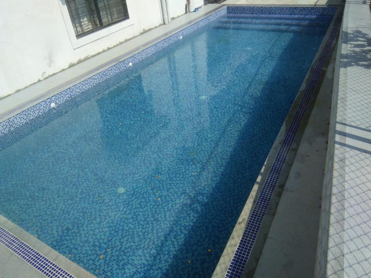 Photo 46