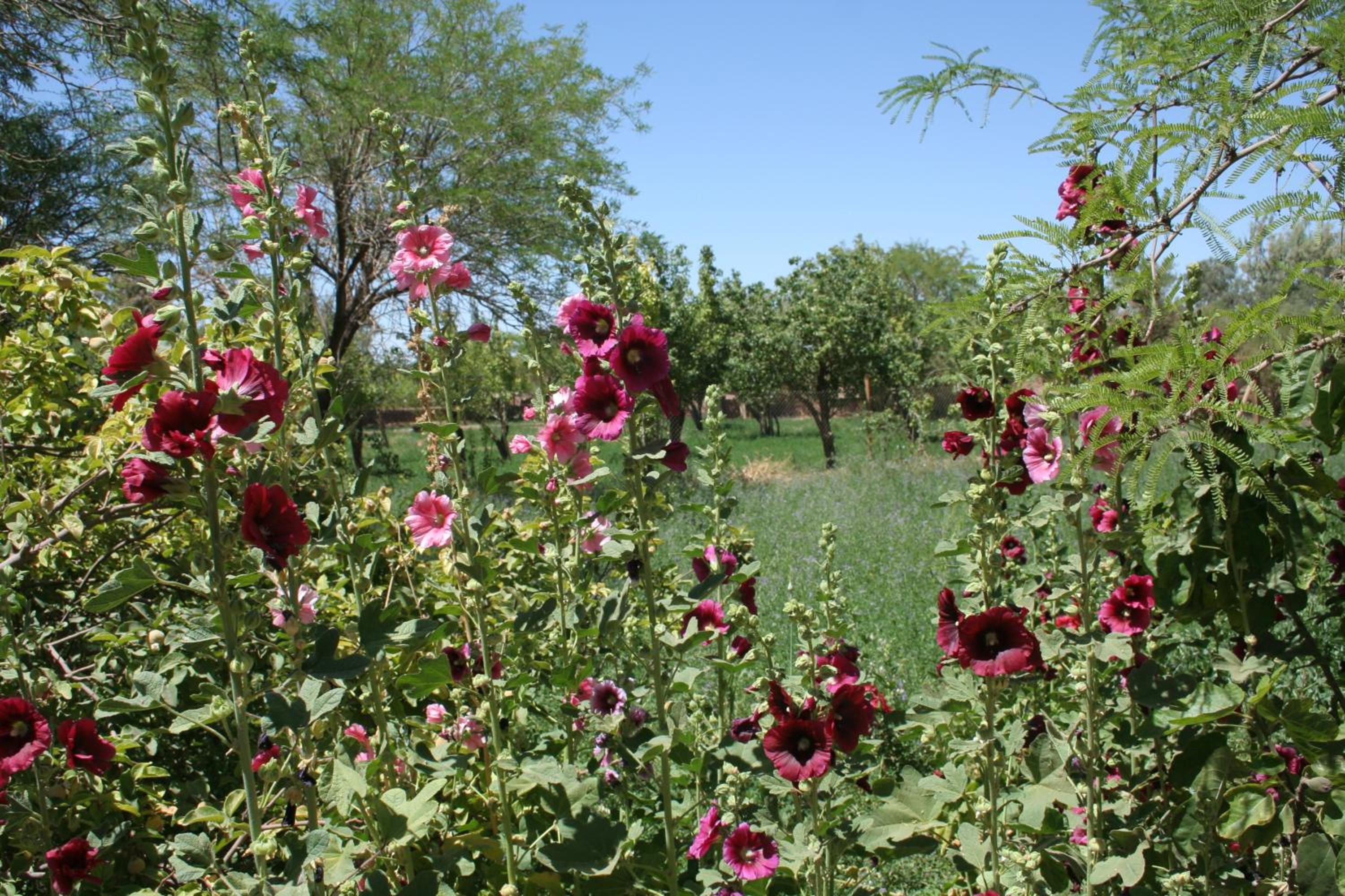 Quinta Adela Bed & Breakfast