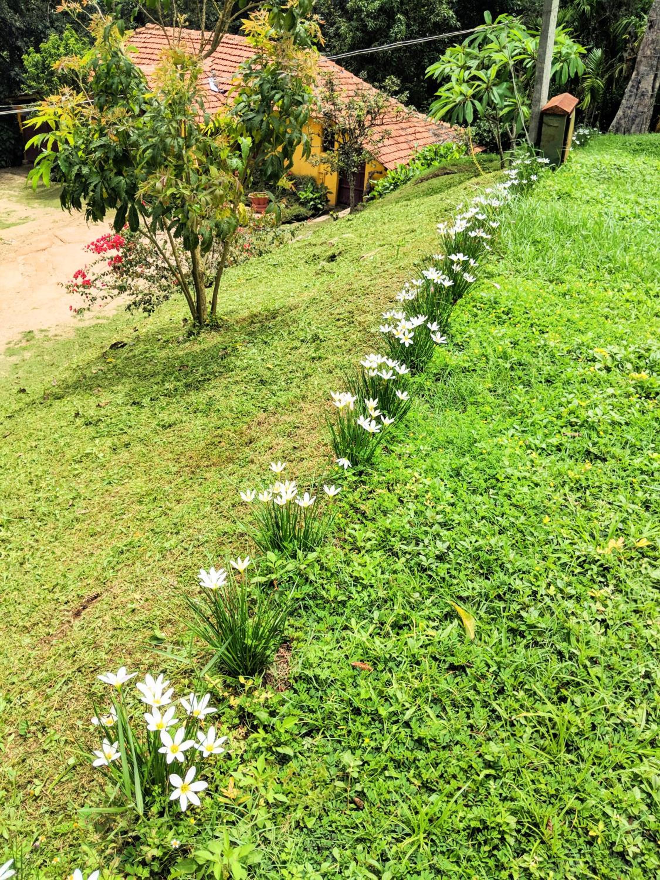 Guddadamane Homestay