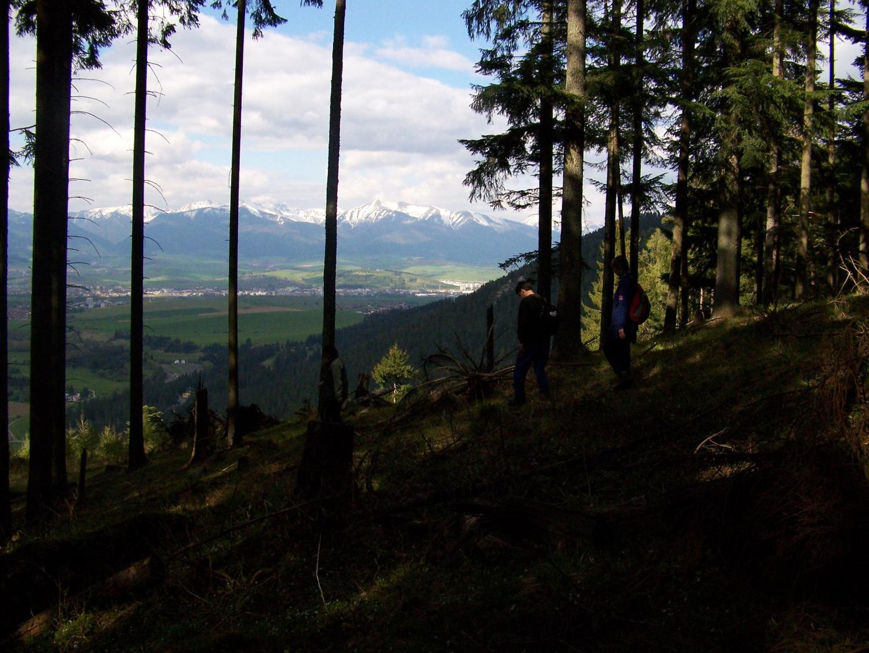Photo 47