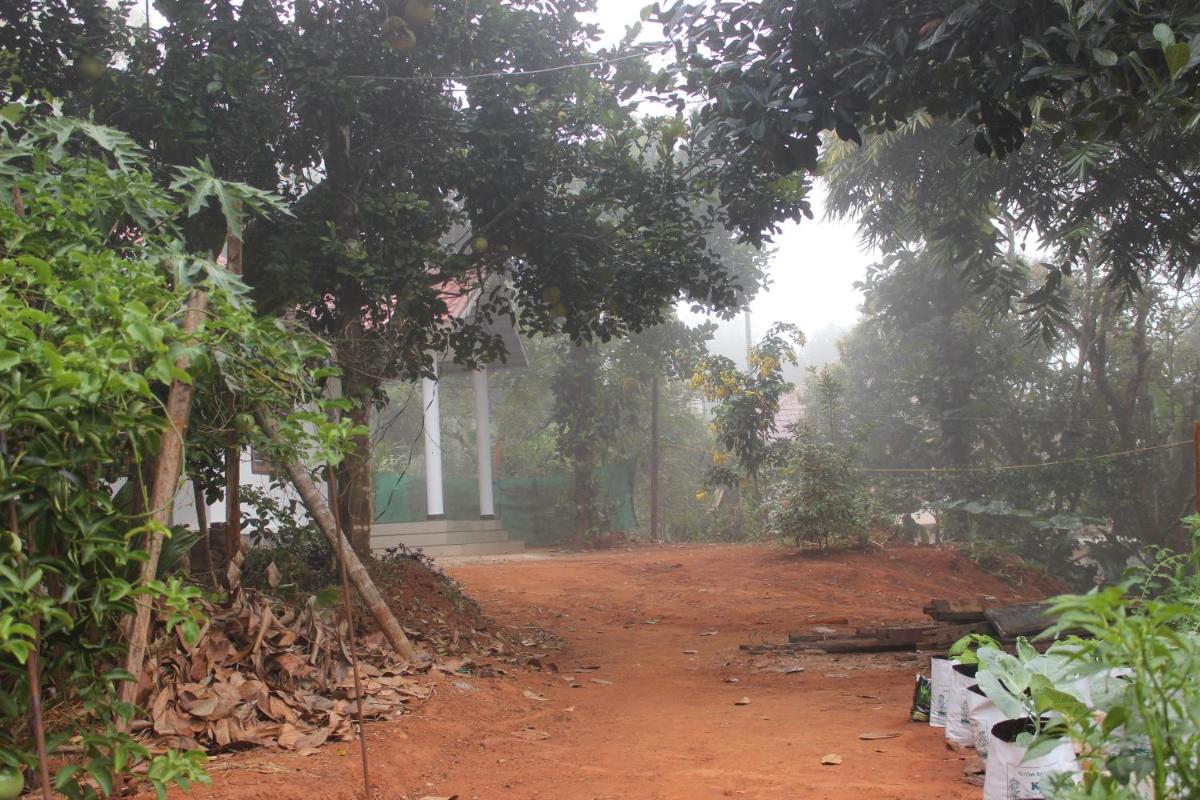 Photo 43