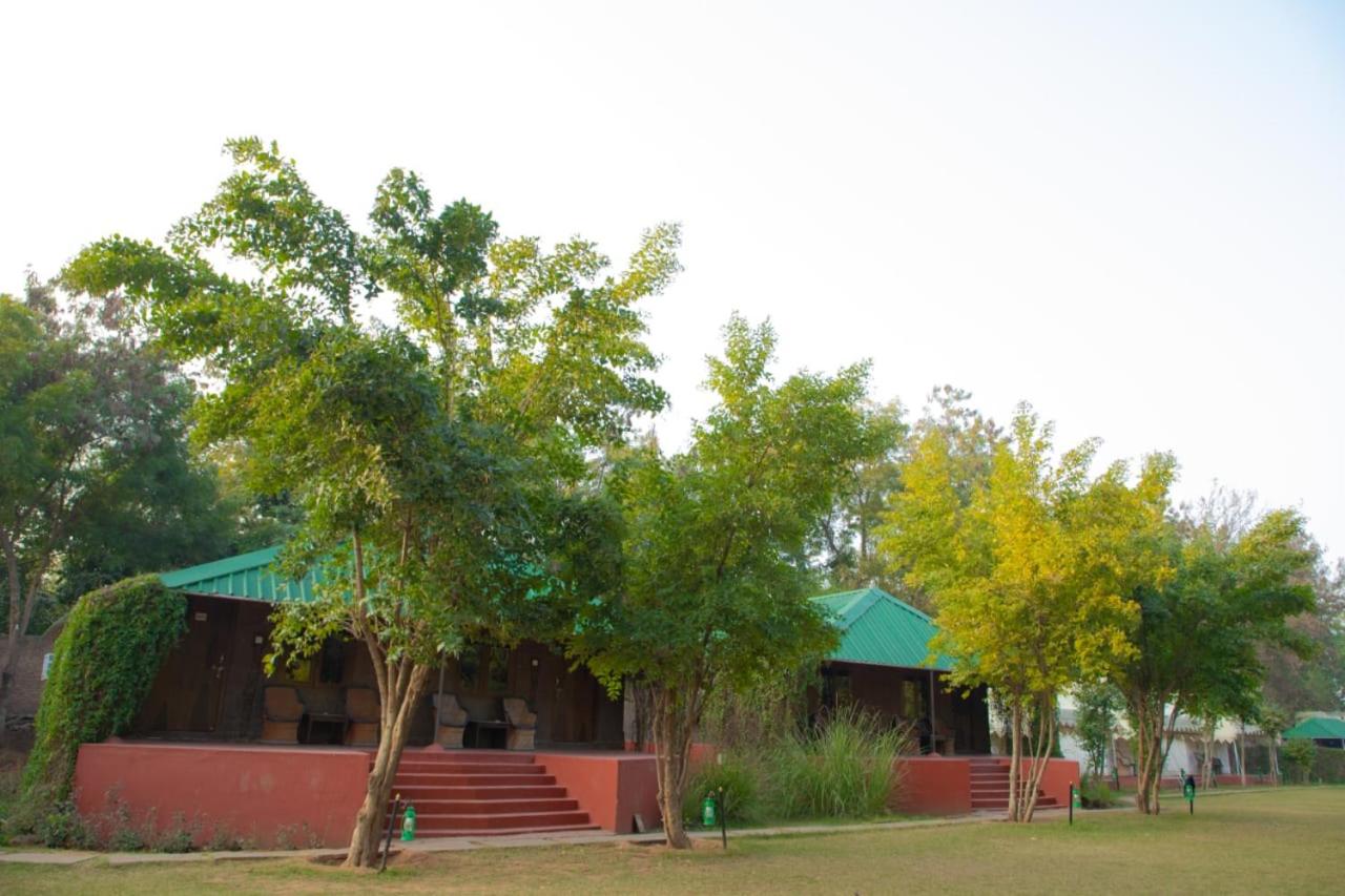 Jungle View Resort Ranthambhore
