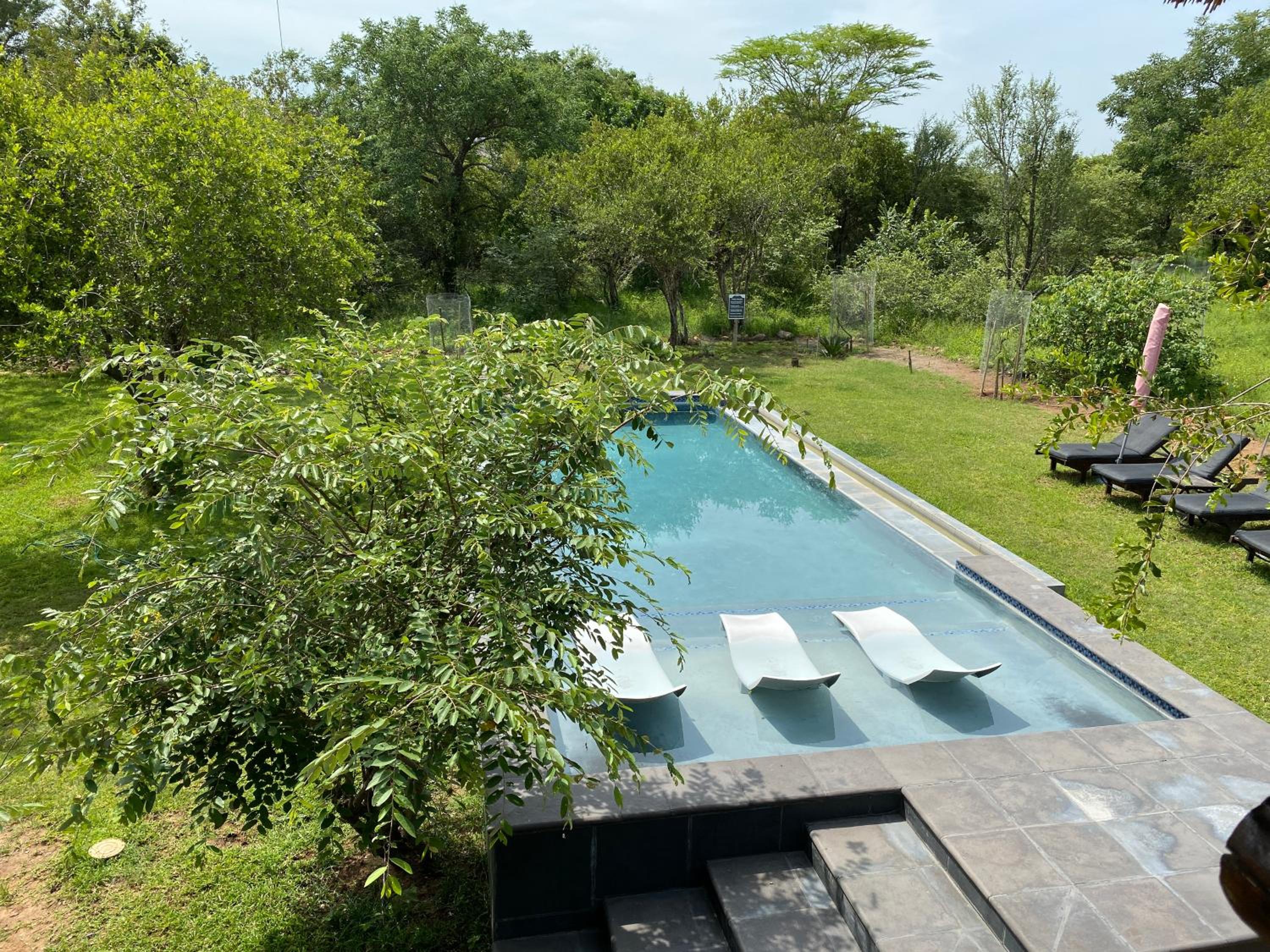 Imbube Safari Lodge