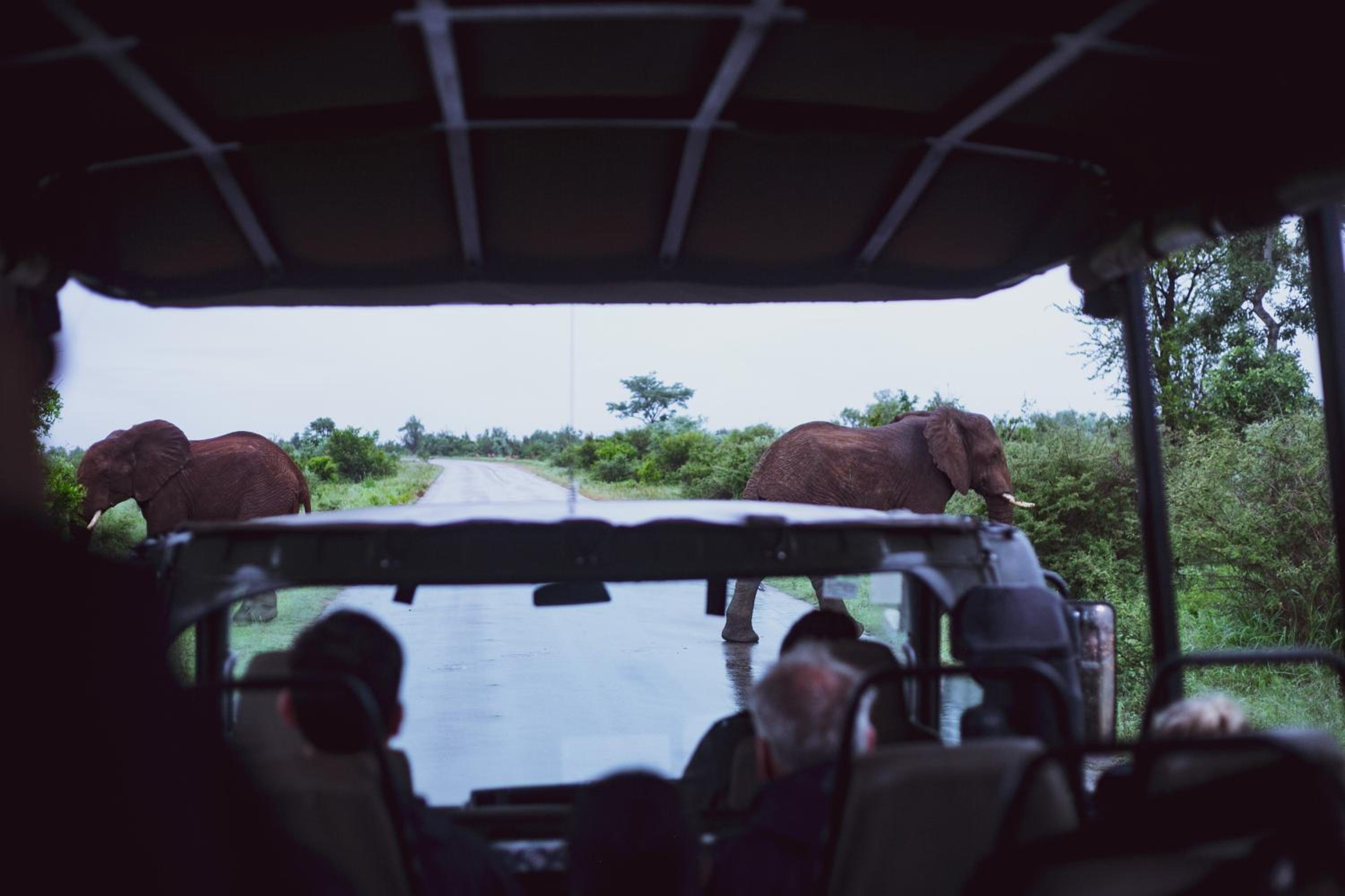 Imbube Safari Lodge