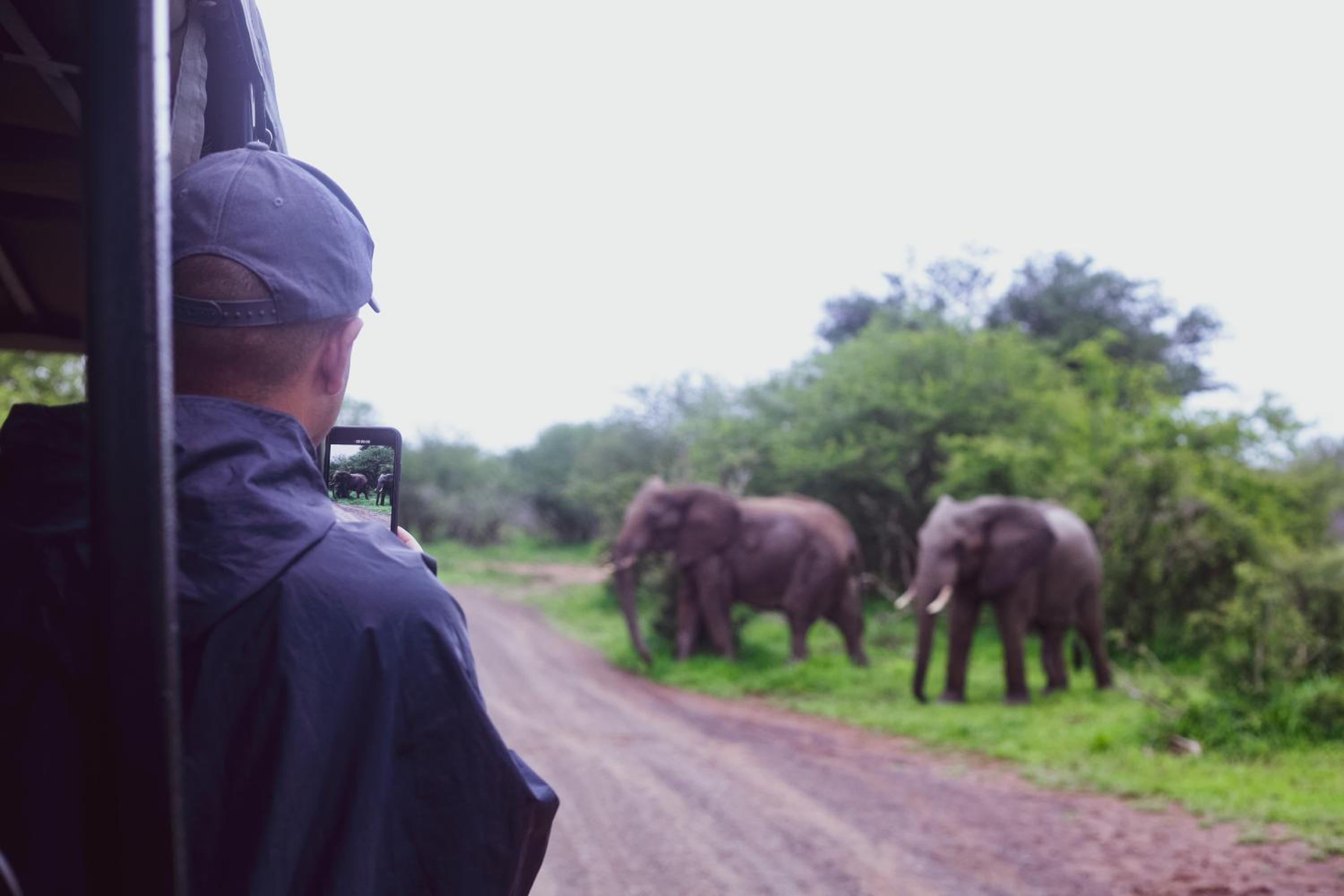 Imbube Safari Lodge