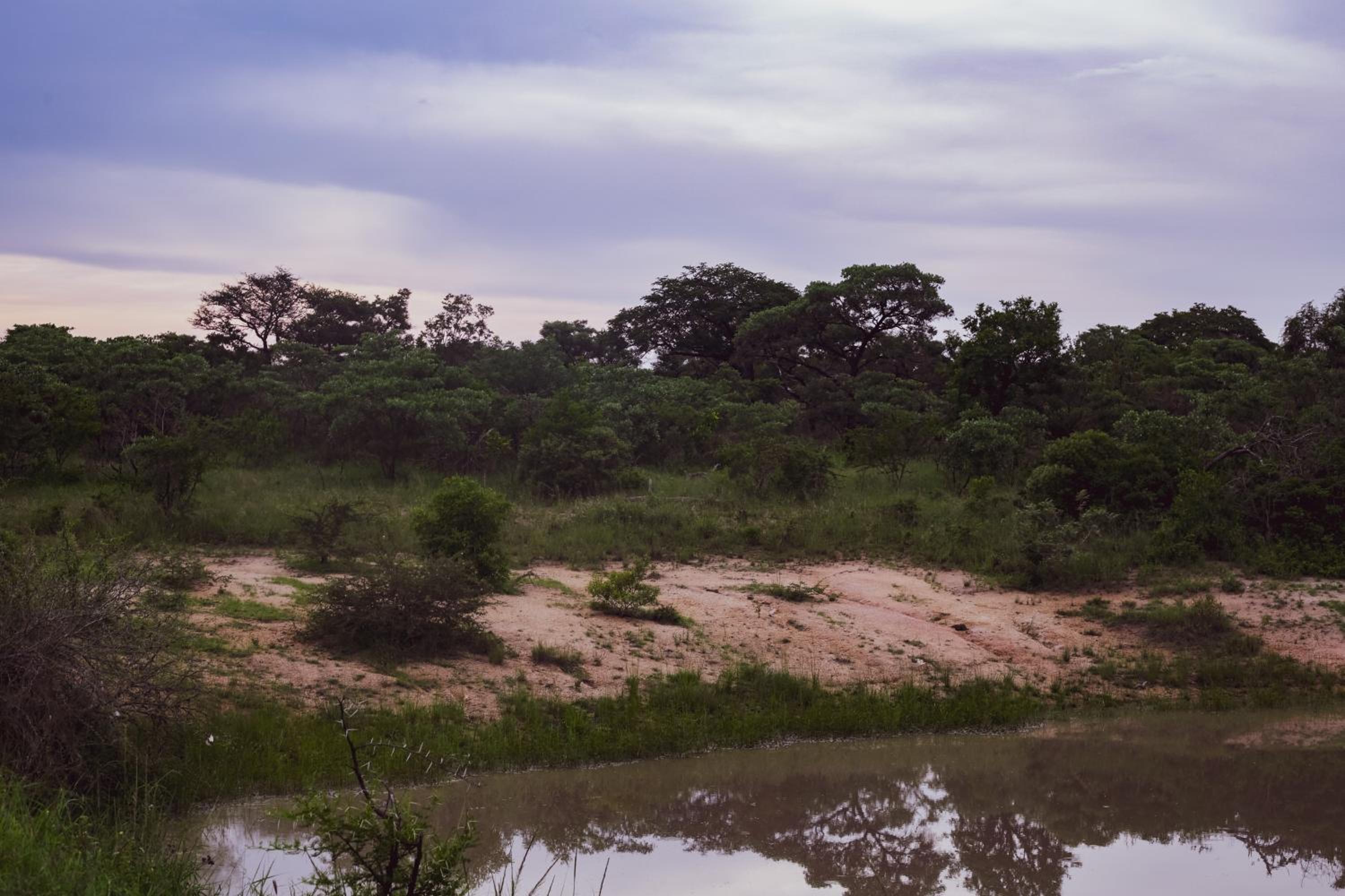 Imbube Safari Lodge