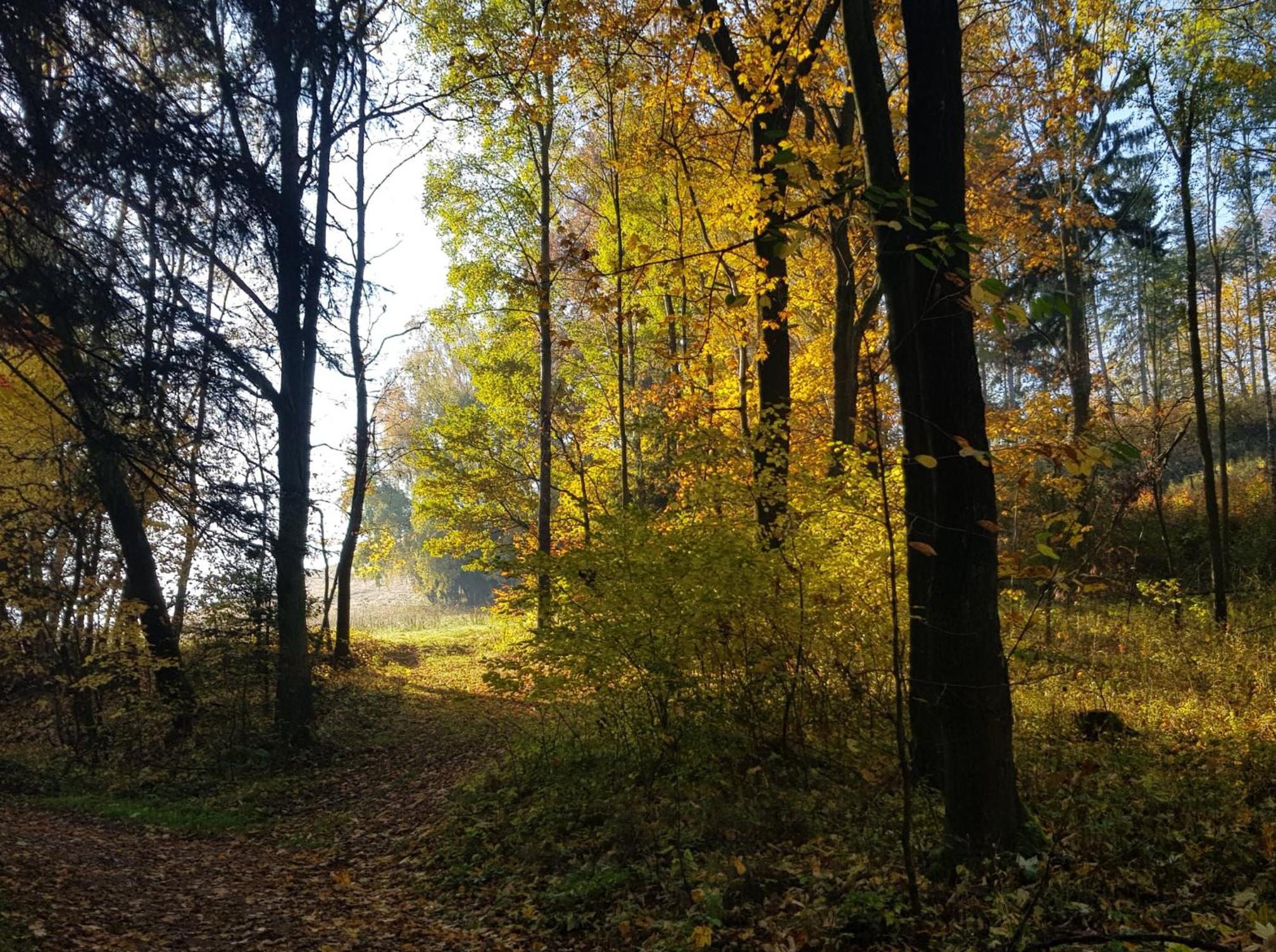Photo 100