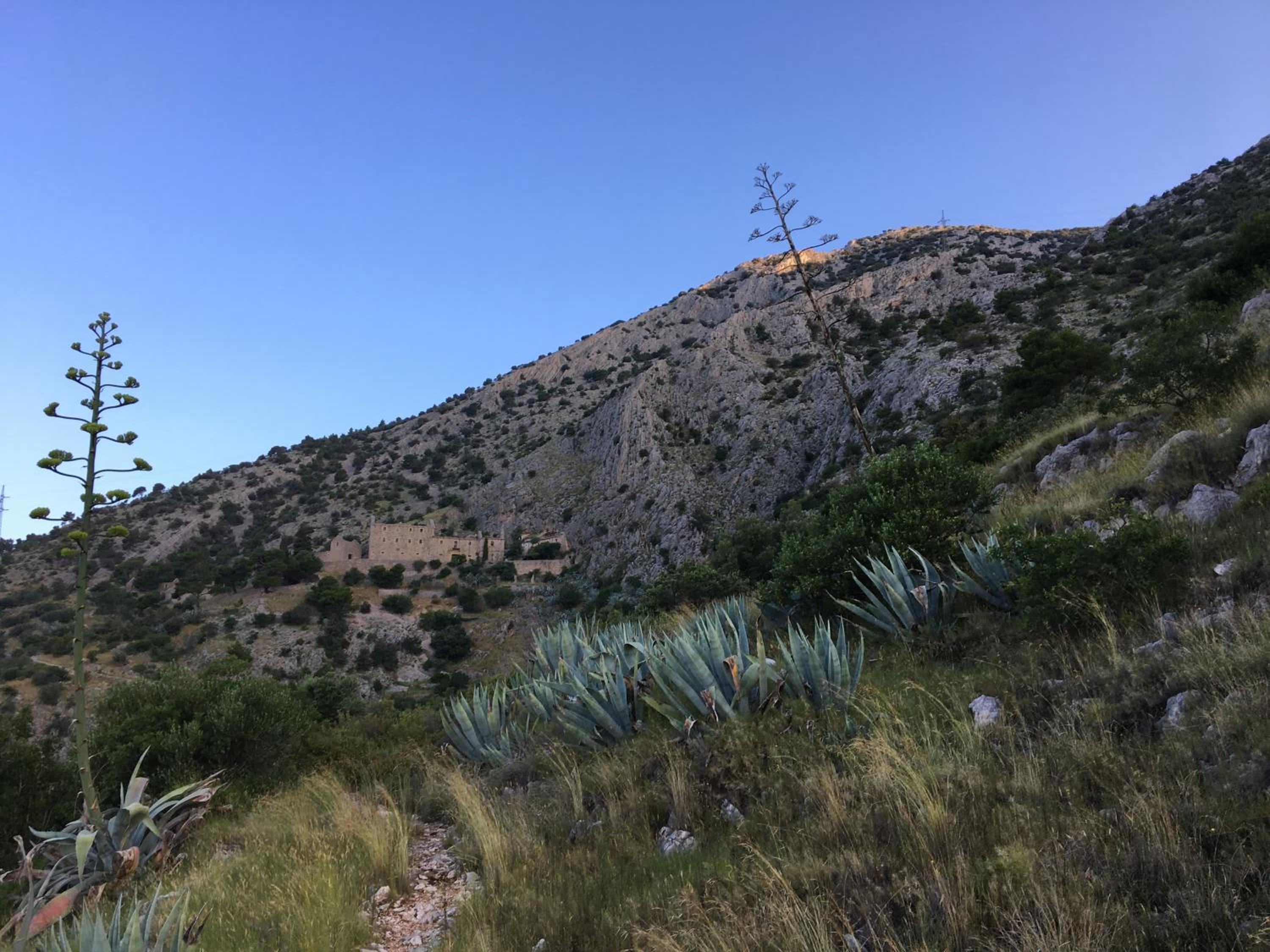 Photo 38