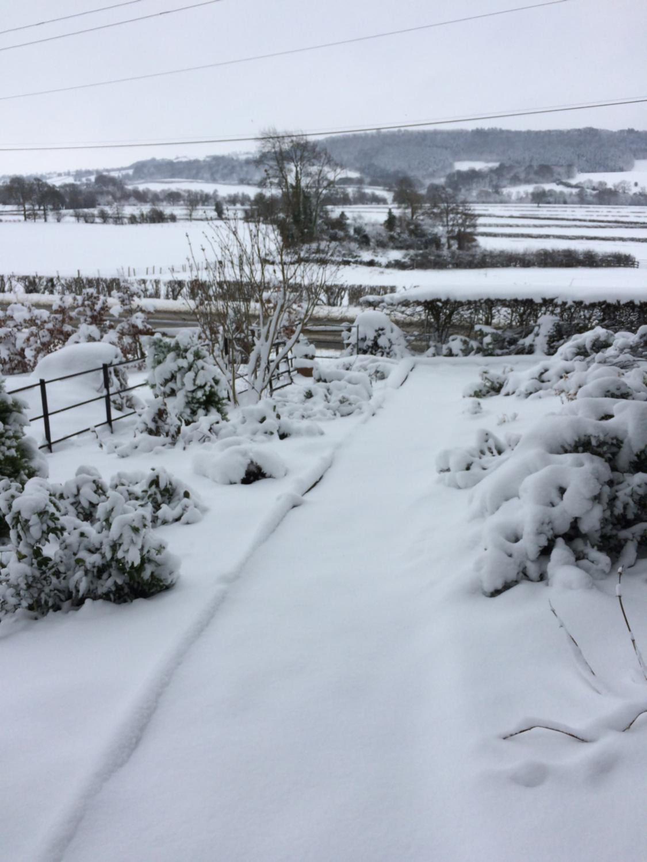 TAN Y GRAIG view 3