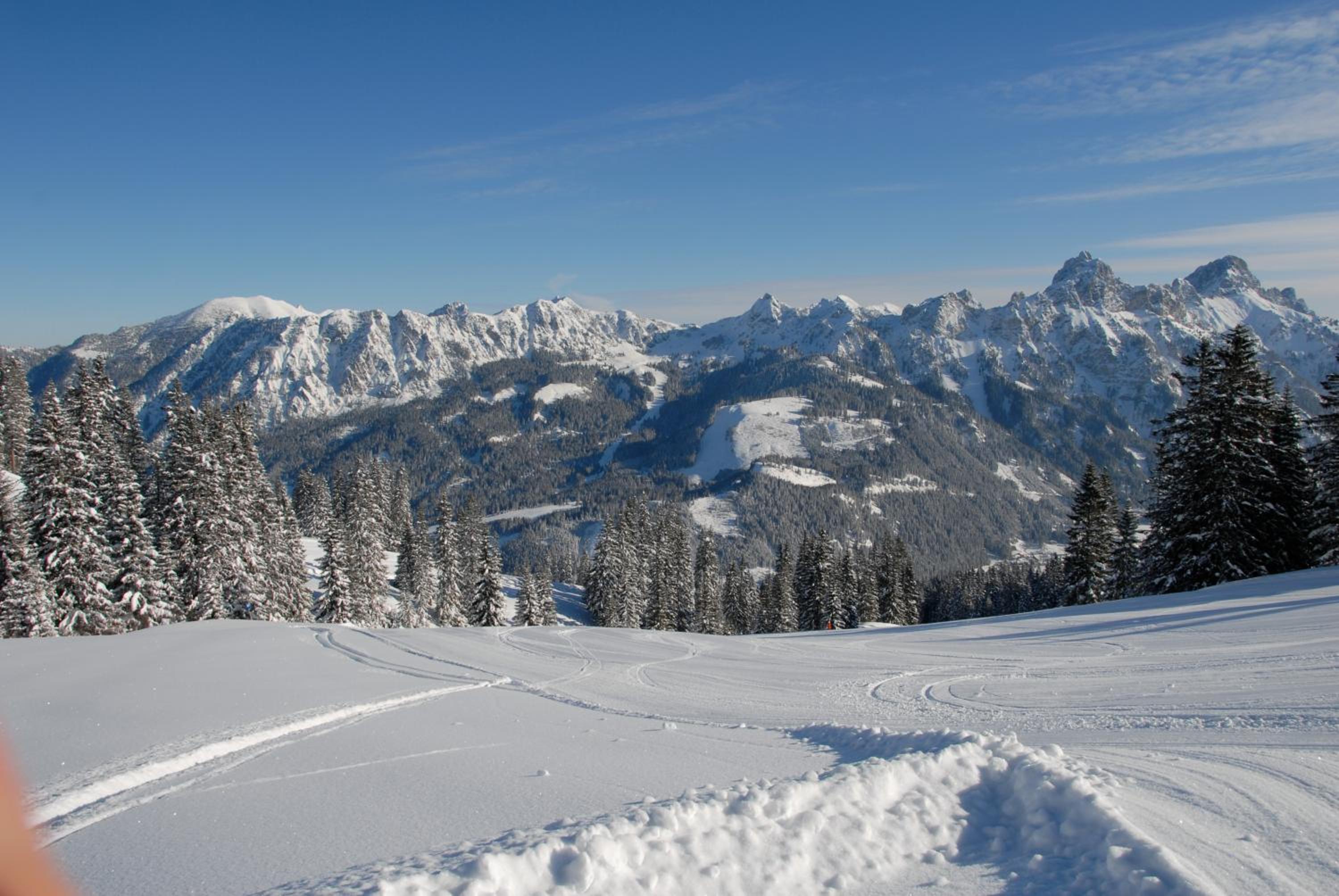 Haus Pfauth view 5