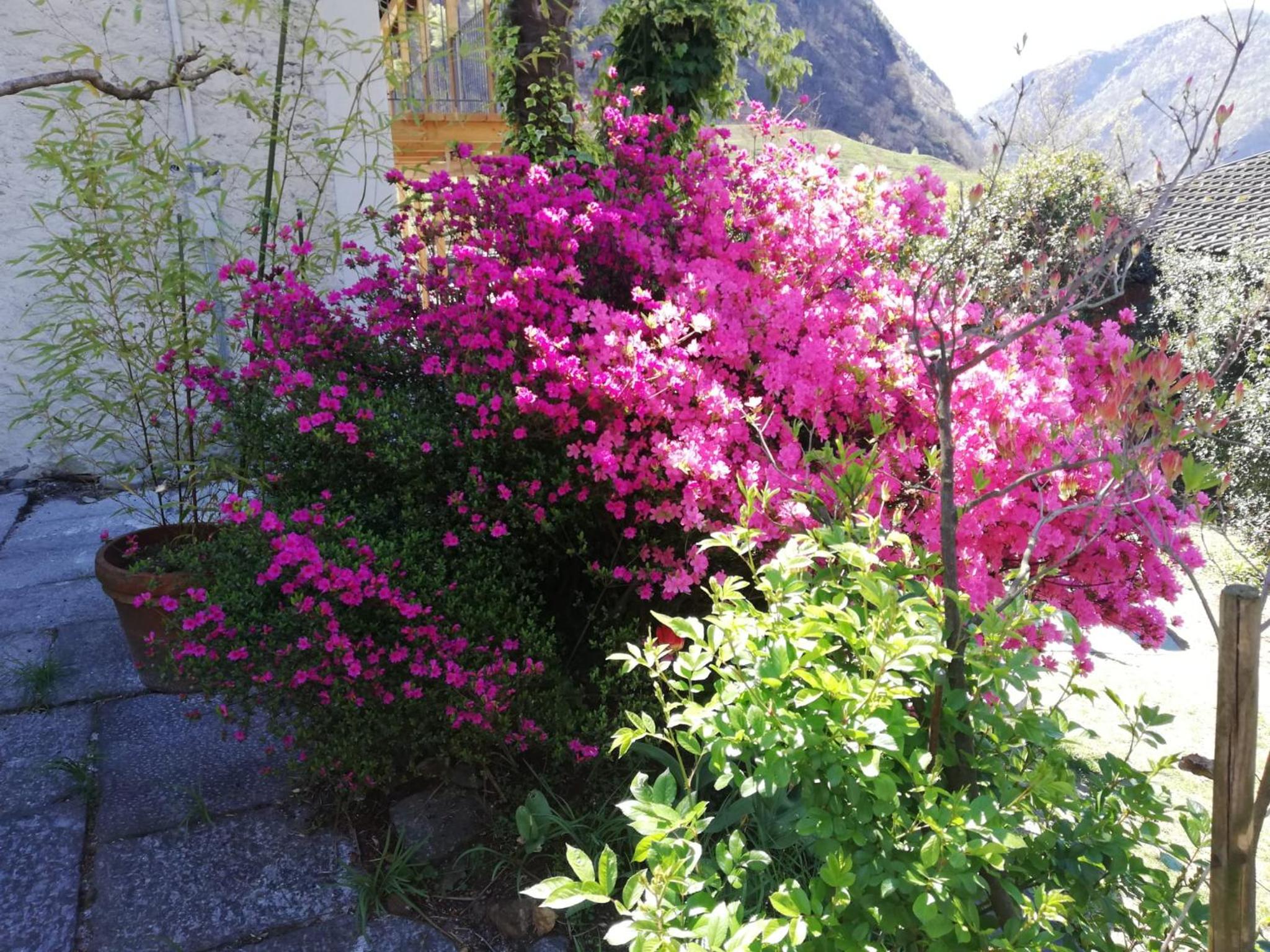 Rustico la Stalla