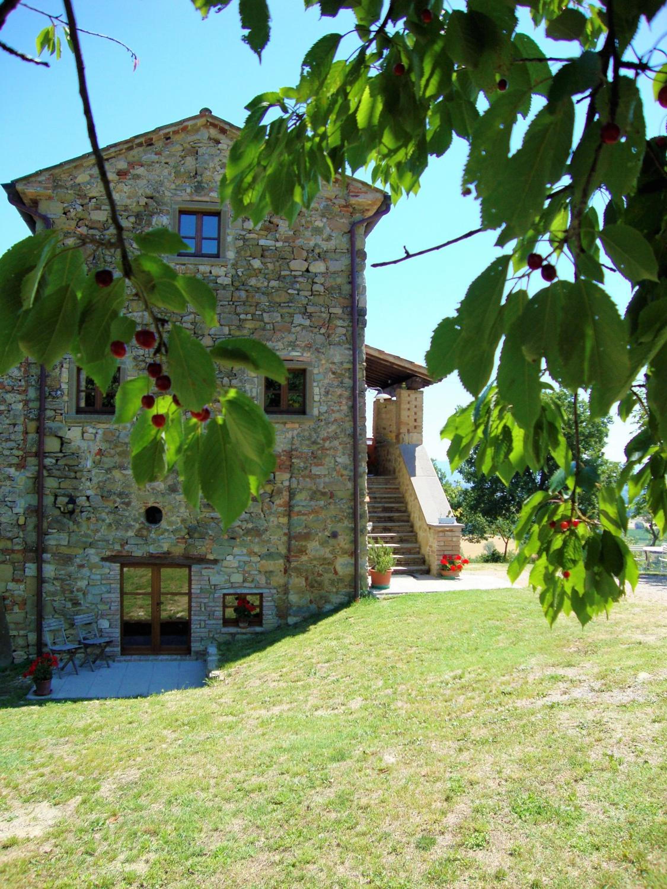 Photo 8