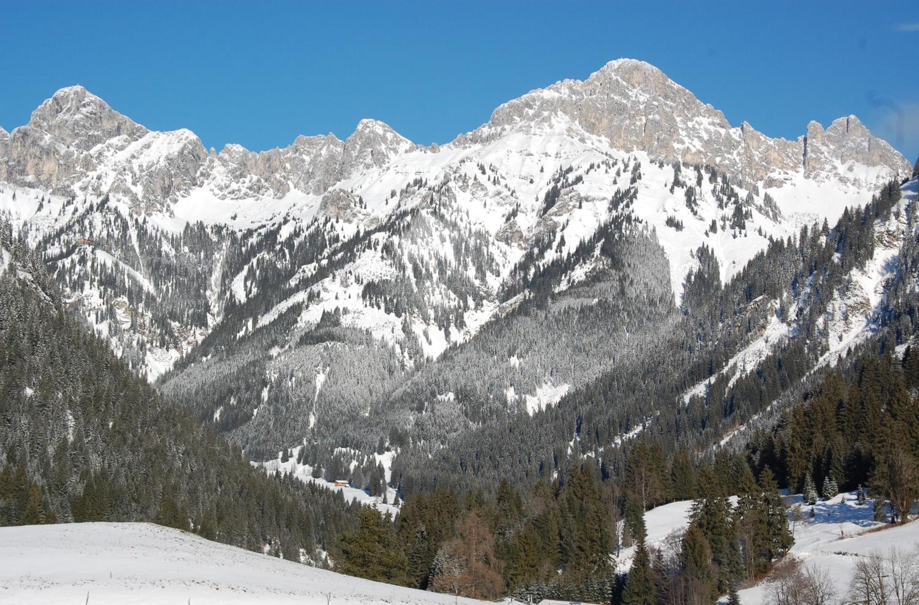 Ferienhaus Alpenglück
