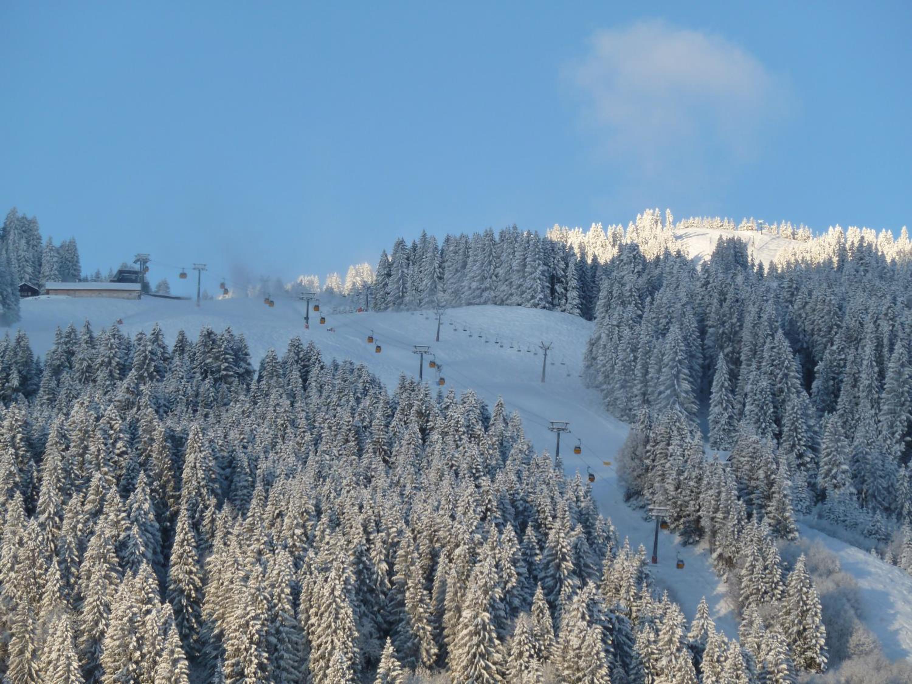 Ferienhotel Silberdistel garni