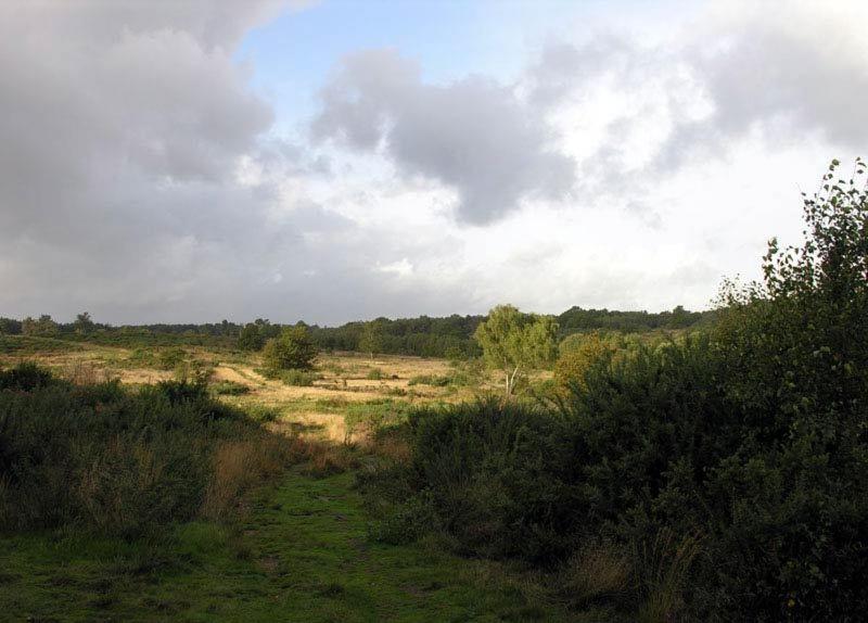 Abacus Bed and Breakfast, Blackwater, Hampshire