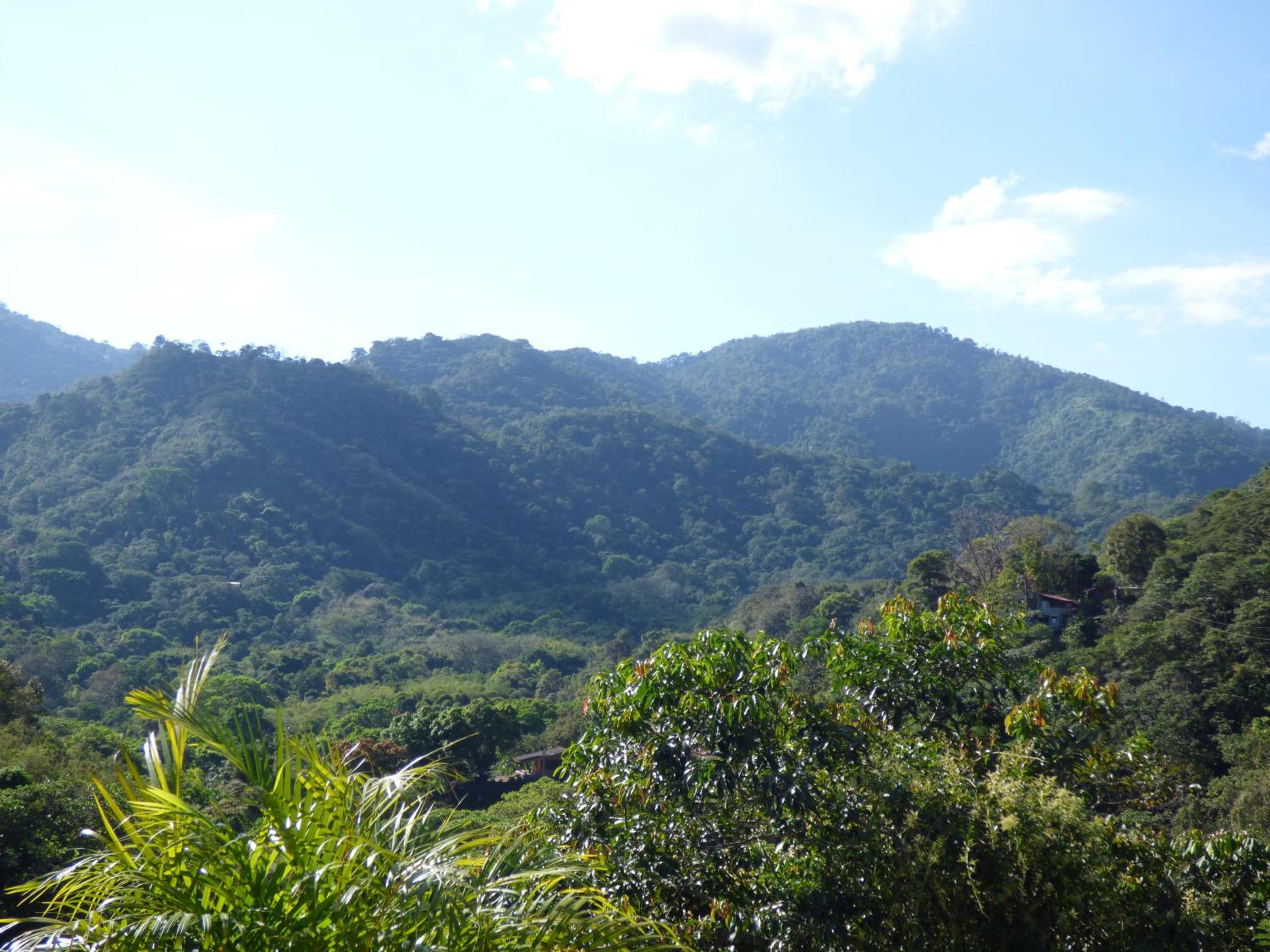 Hostal Alto de la Montaña