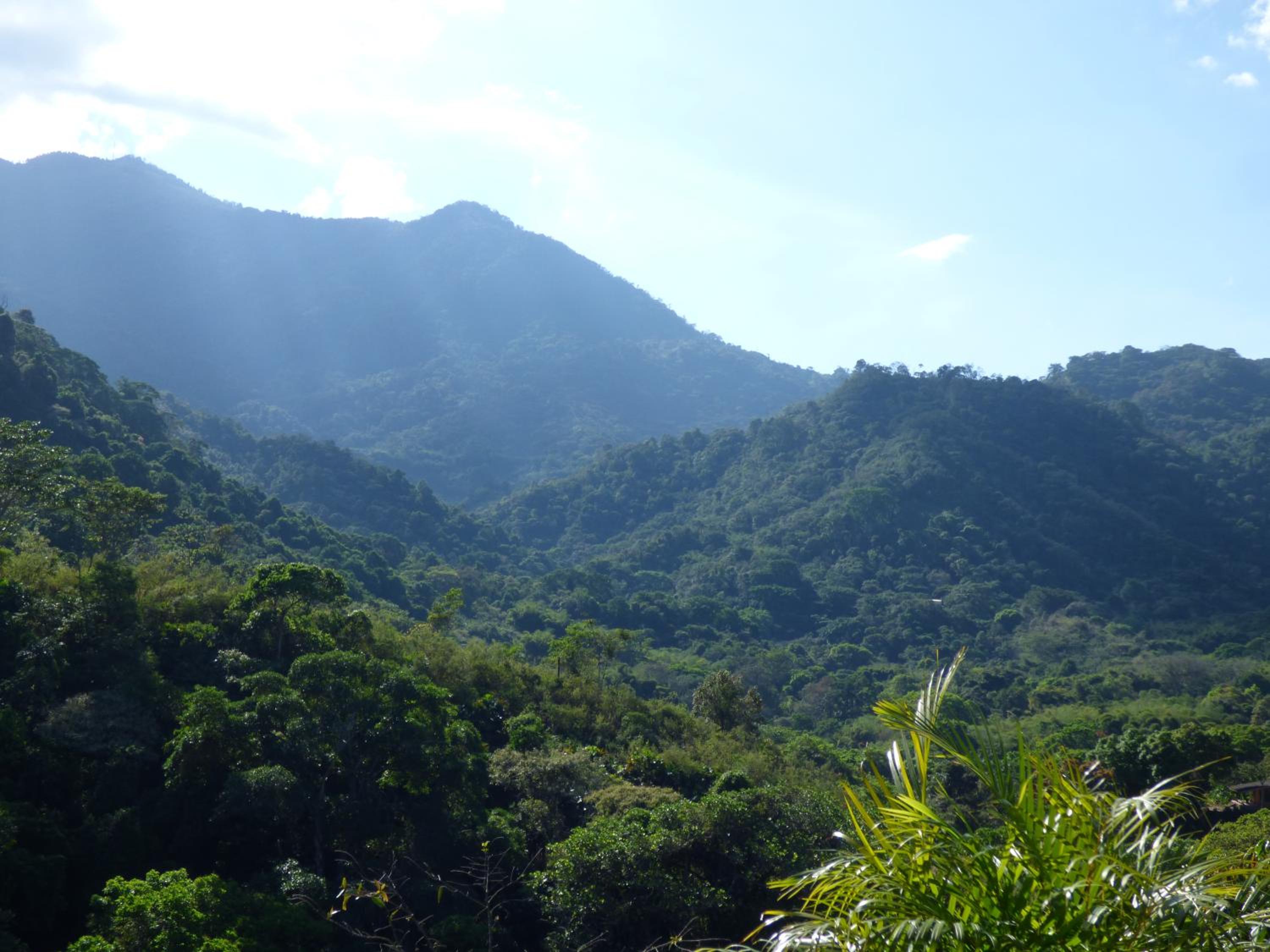 Hostal Alto de la Montaña