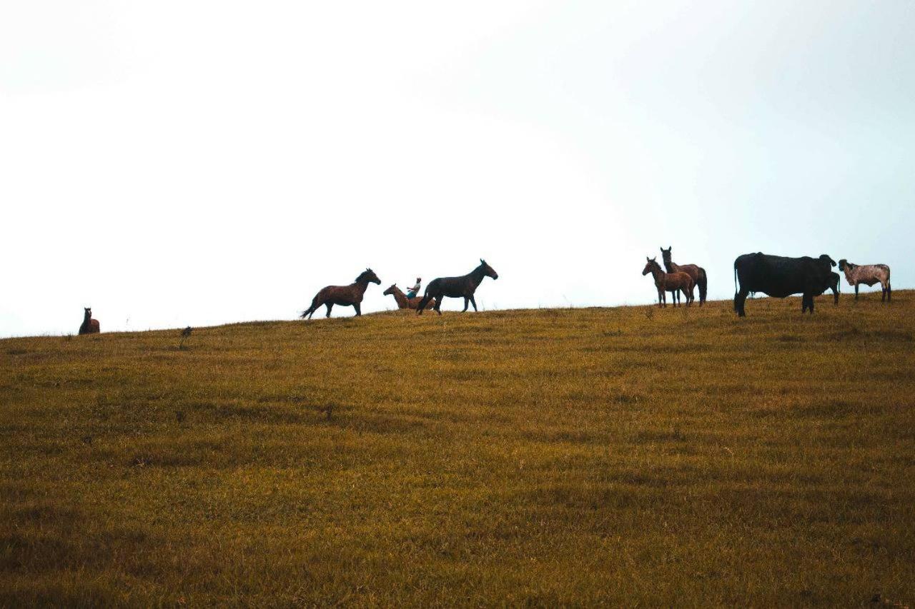 Fazenda Lagoa Azul