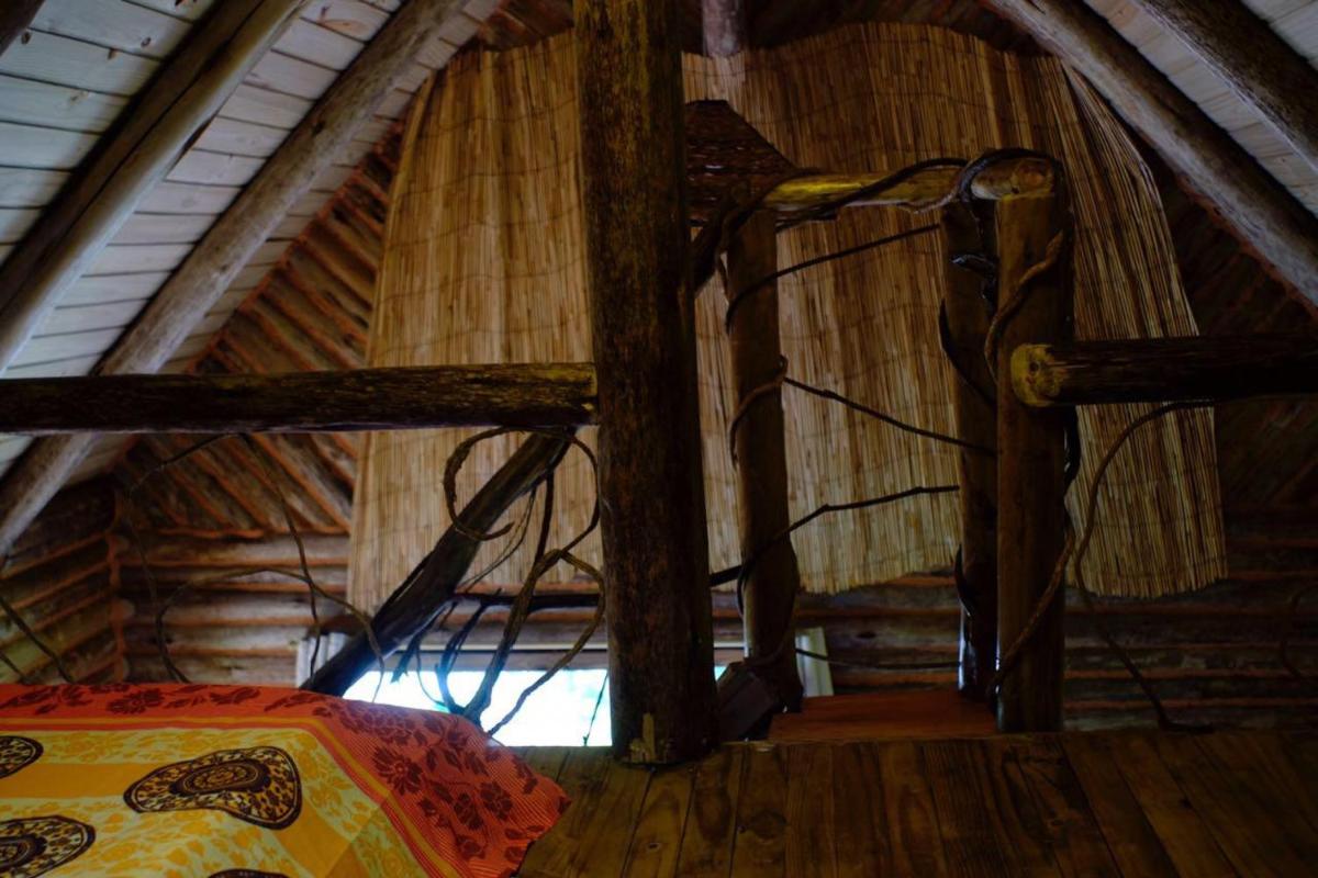 EcoHospedagem nos Canyons view 5