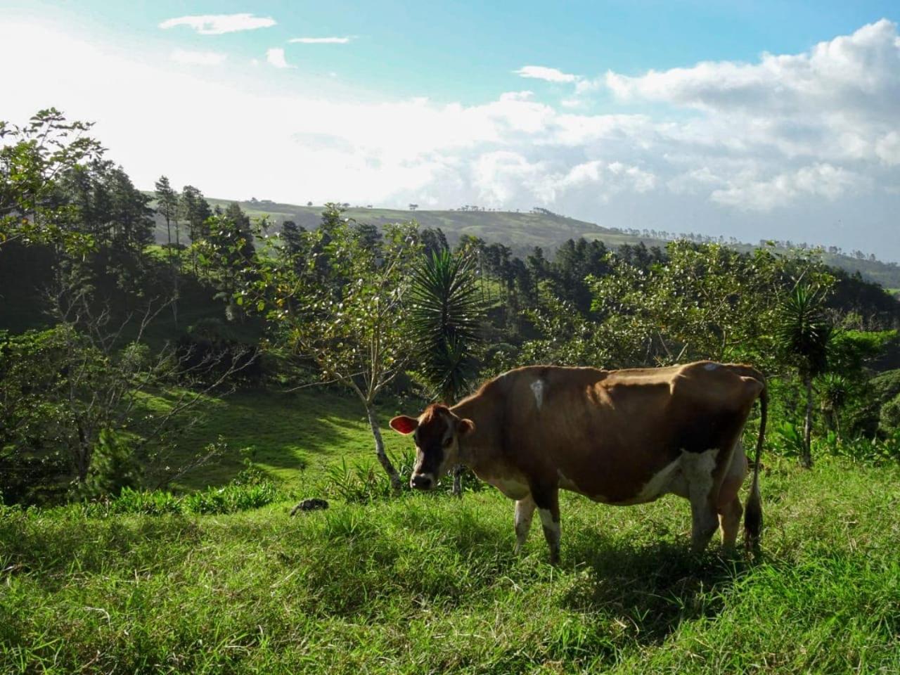 Eco Granja Don Lolo