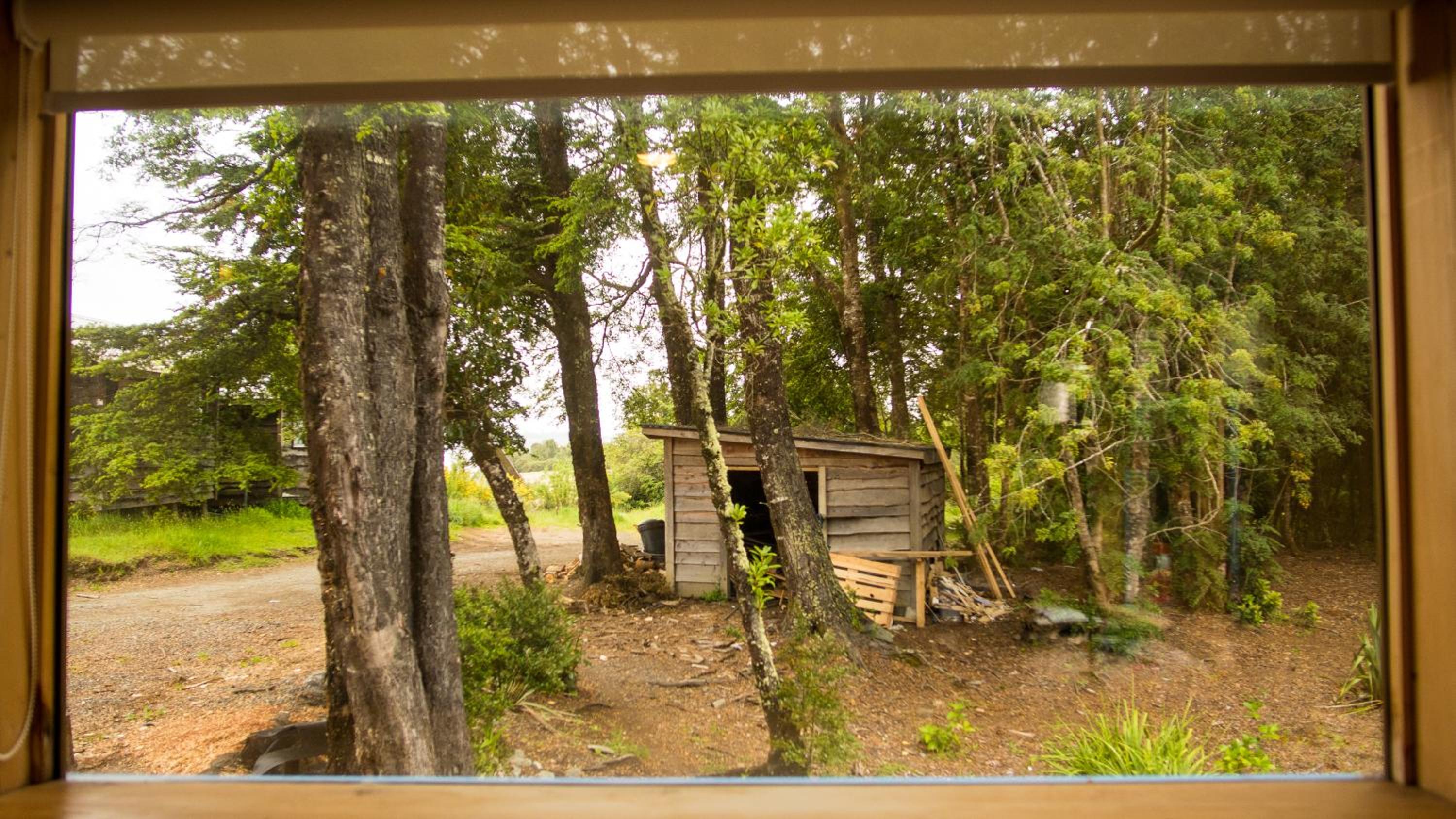 Casa Bosque Chiloé