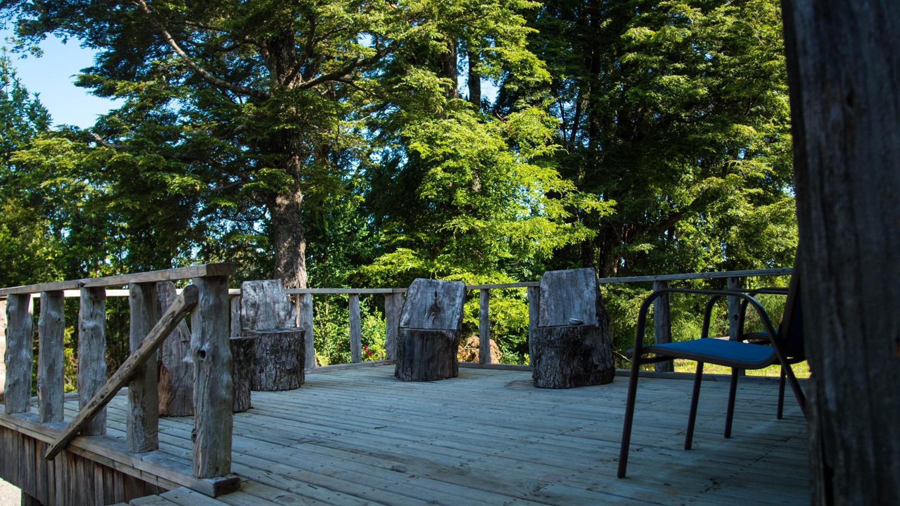 Casa Bosque Chiloé