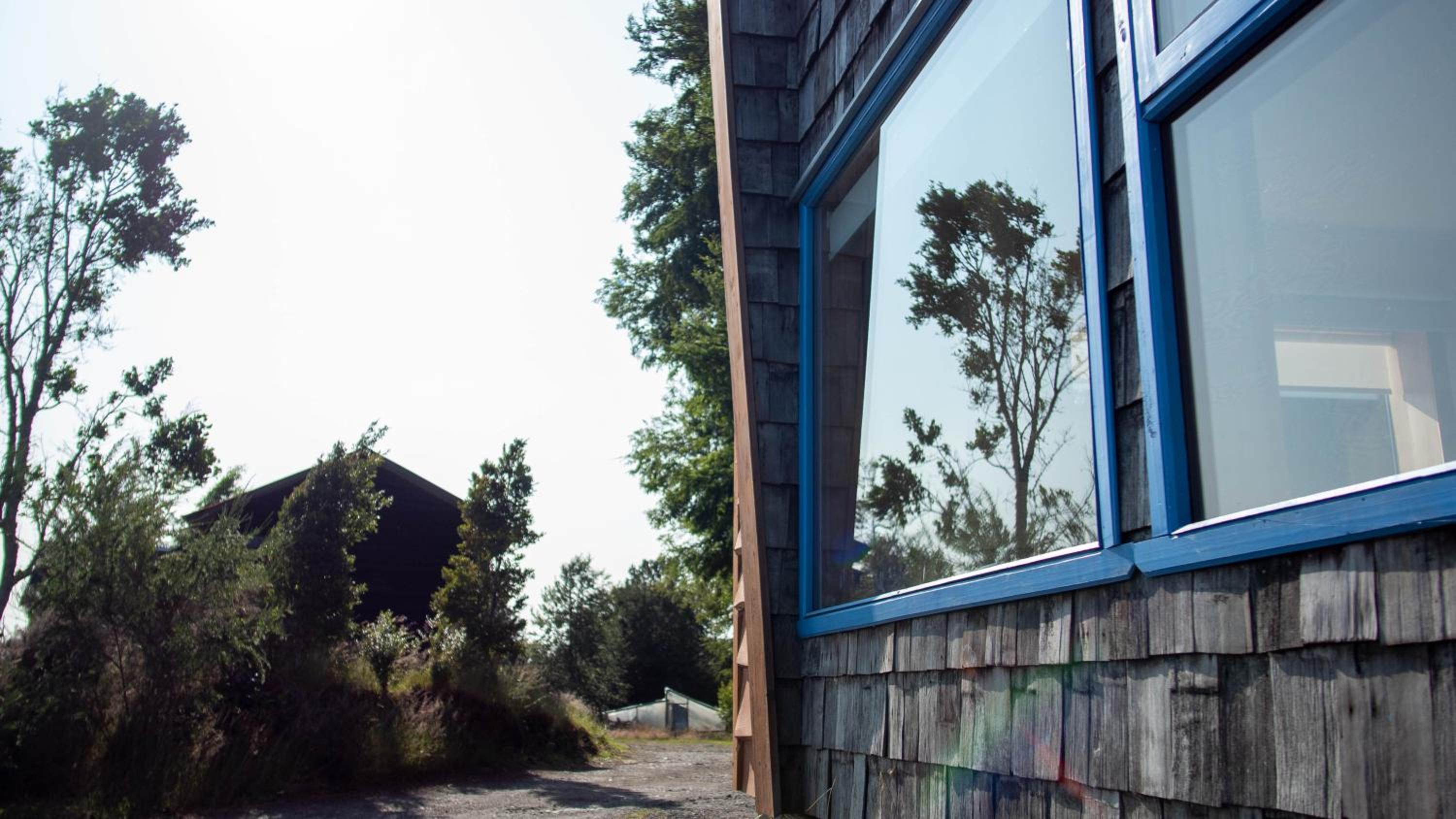 Casa Bosque Chiloé