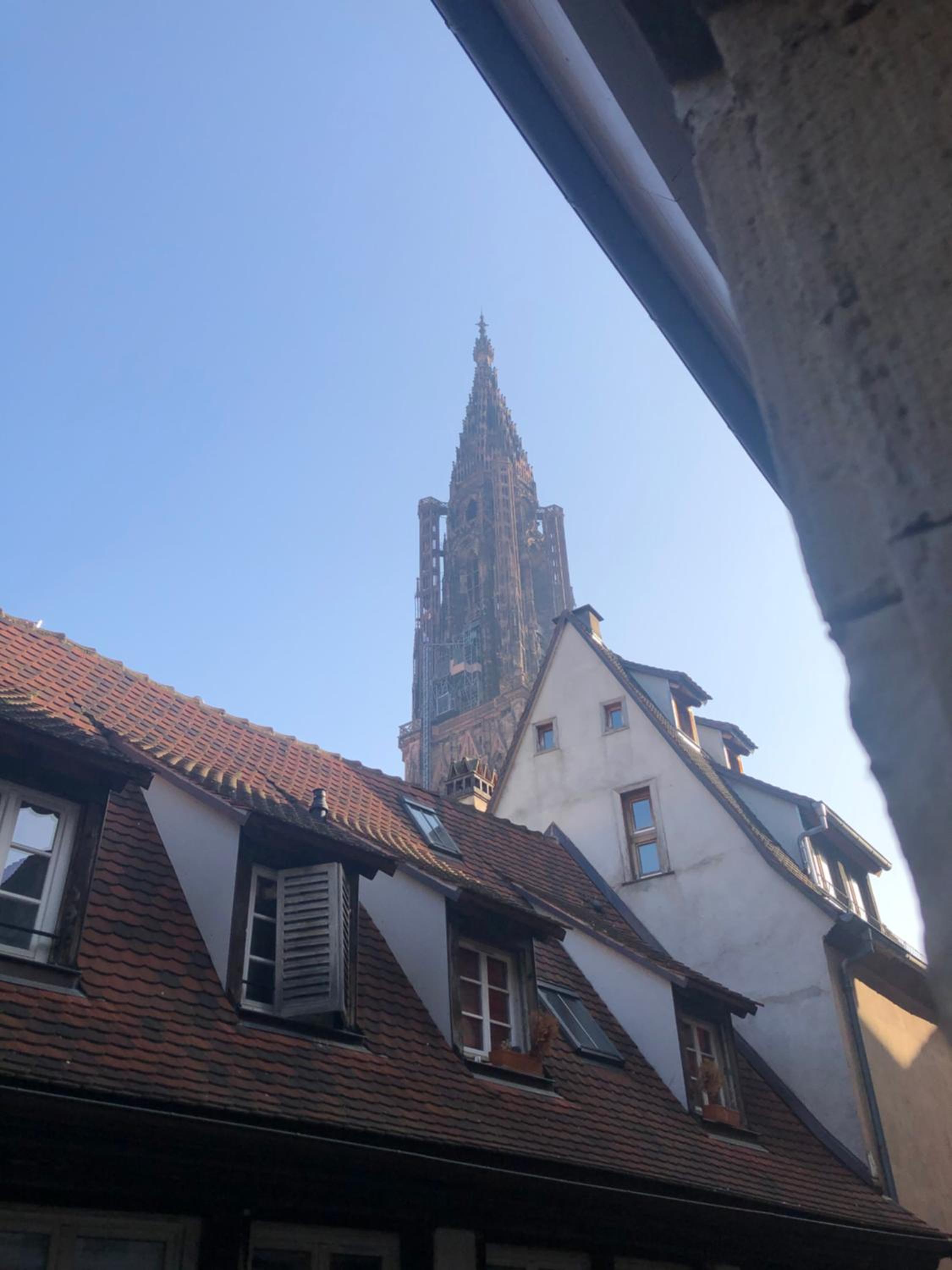 Carpe Diem Home - Au pied de la Cathédrale view 5