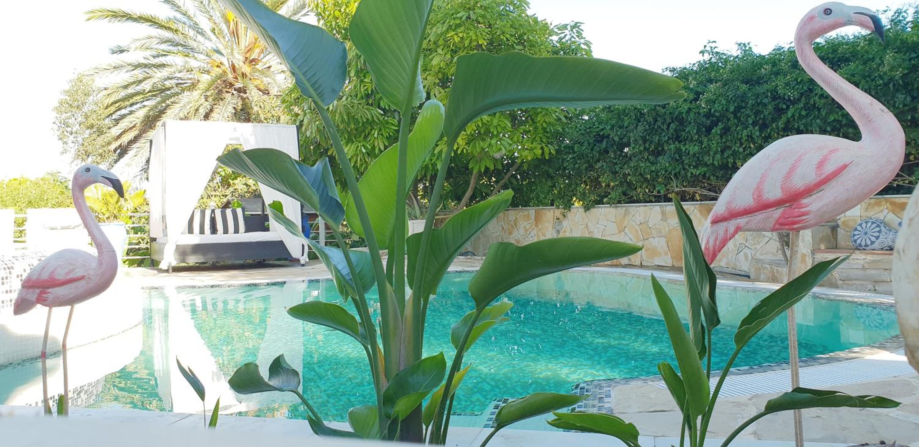 Casa privada para dos con Jacuzzi y Piscina Málaga photo 5