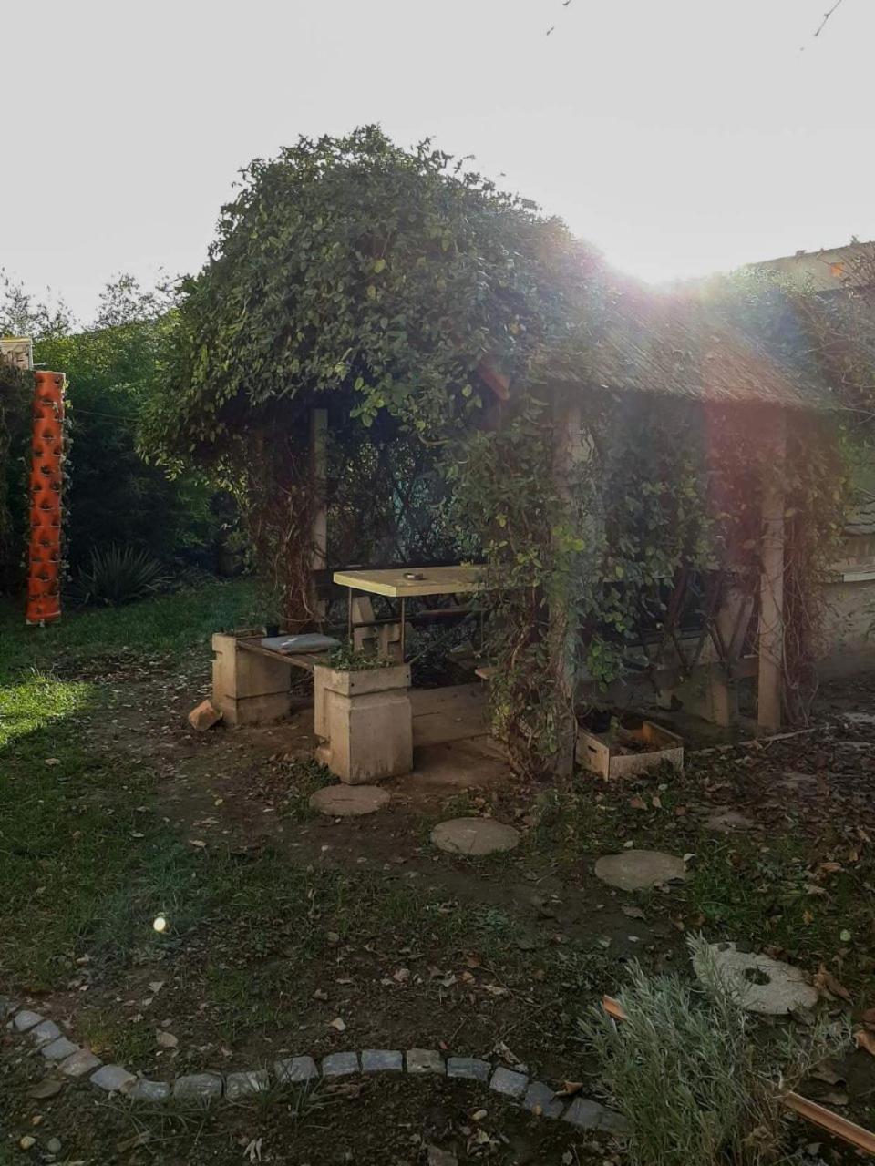 Photo 27
