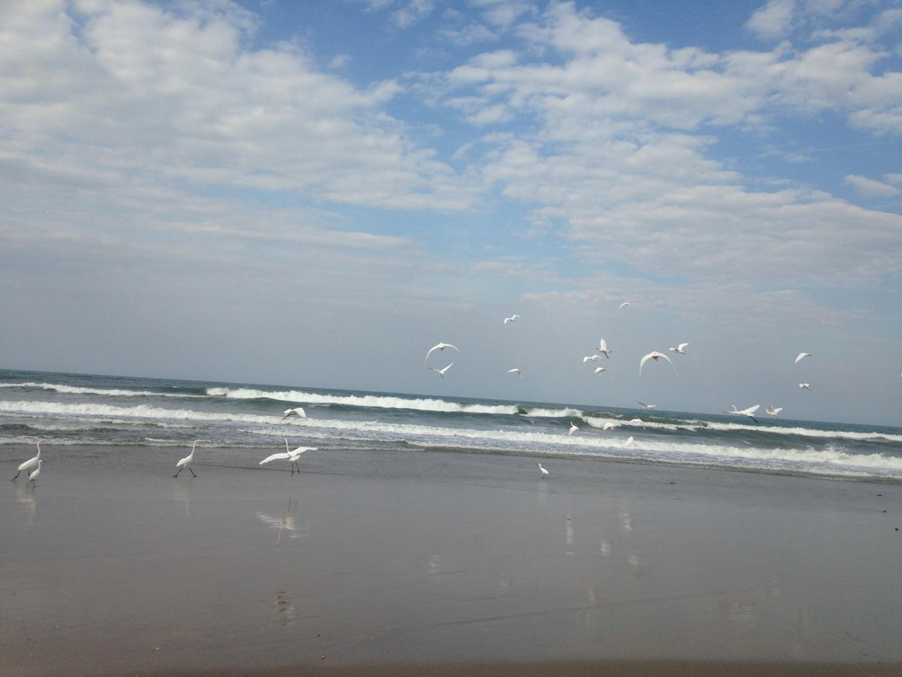 Photo 47