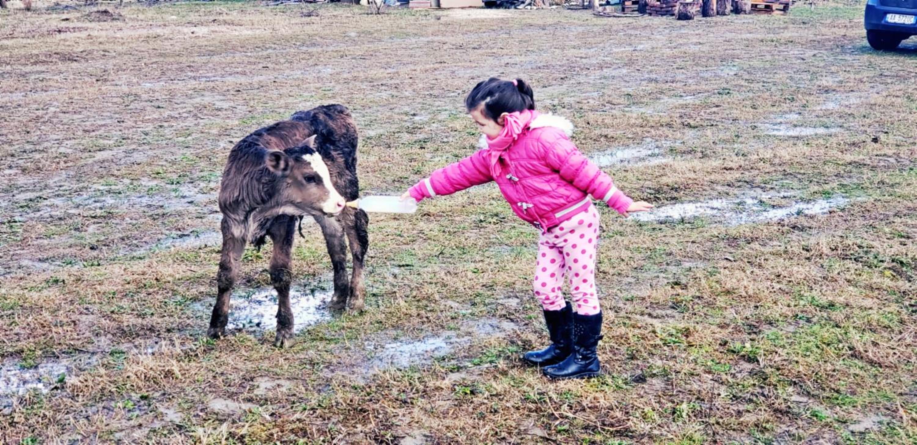 Life on the farm