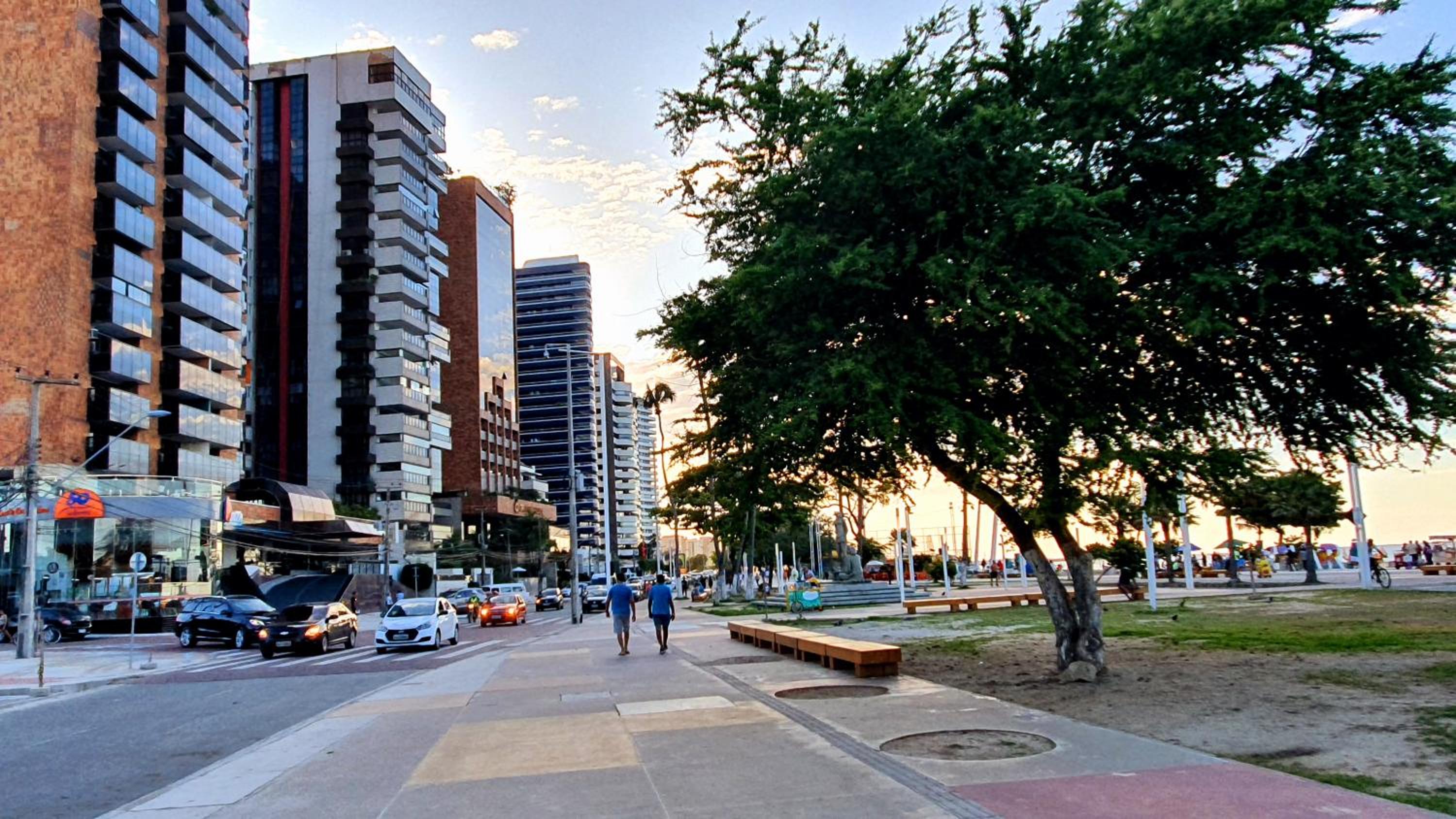 Photo 56