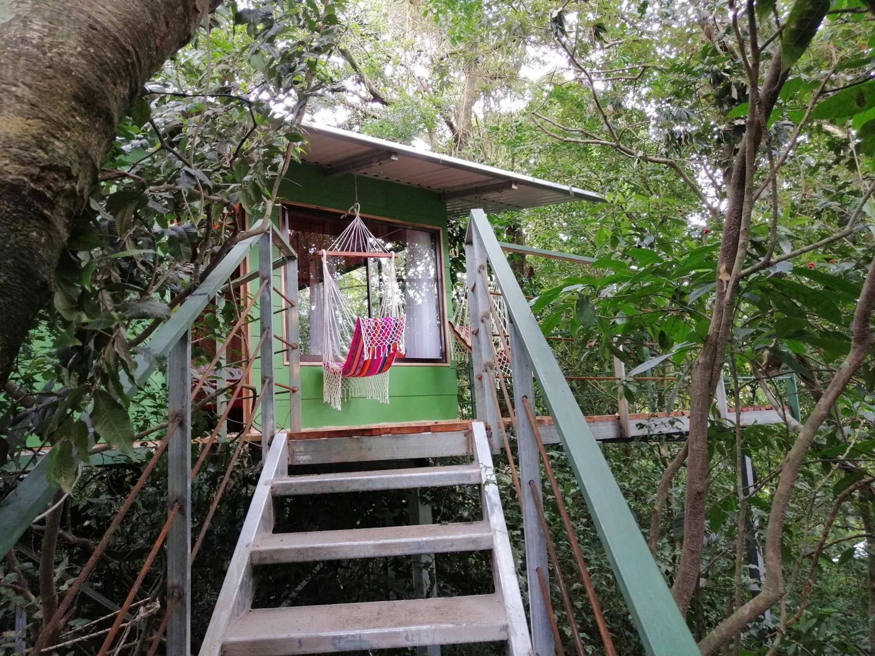 Jungle Living Tree Houses