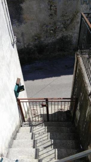Photo 49