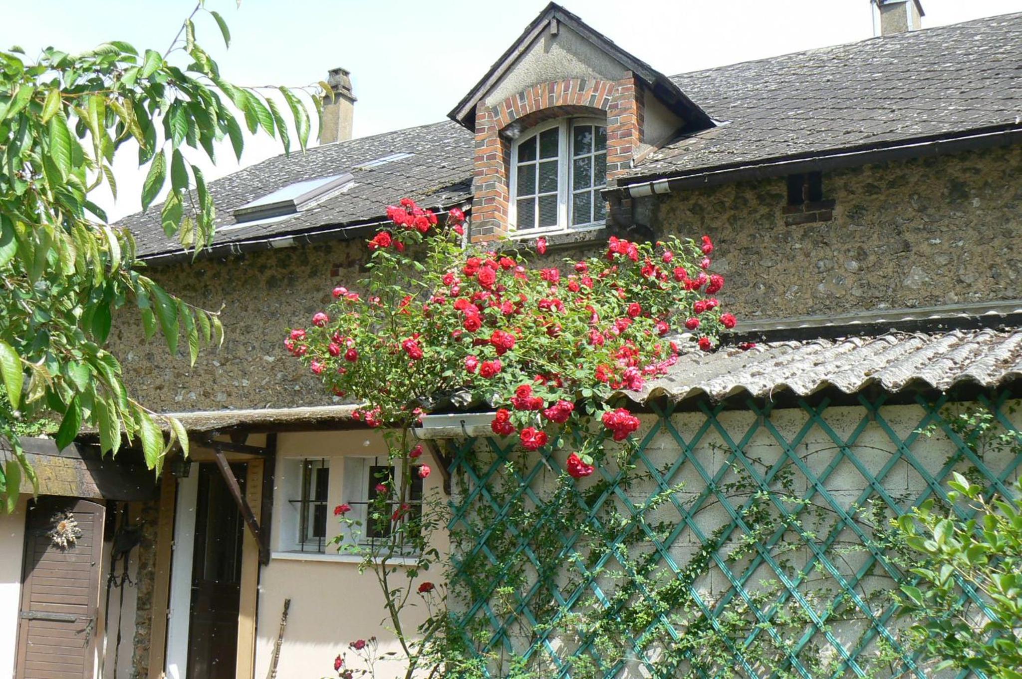 Photo 9